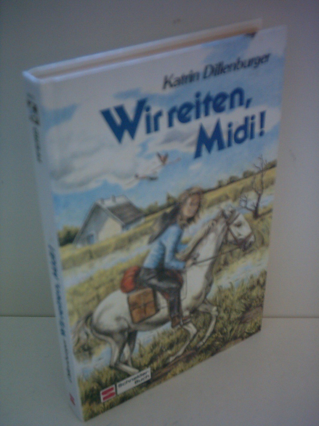 Wir reiten, Midi!: Ein Mädchen, zwei Pferde und viele Kilometer Books