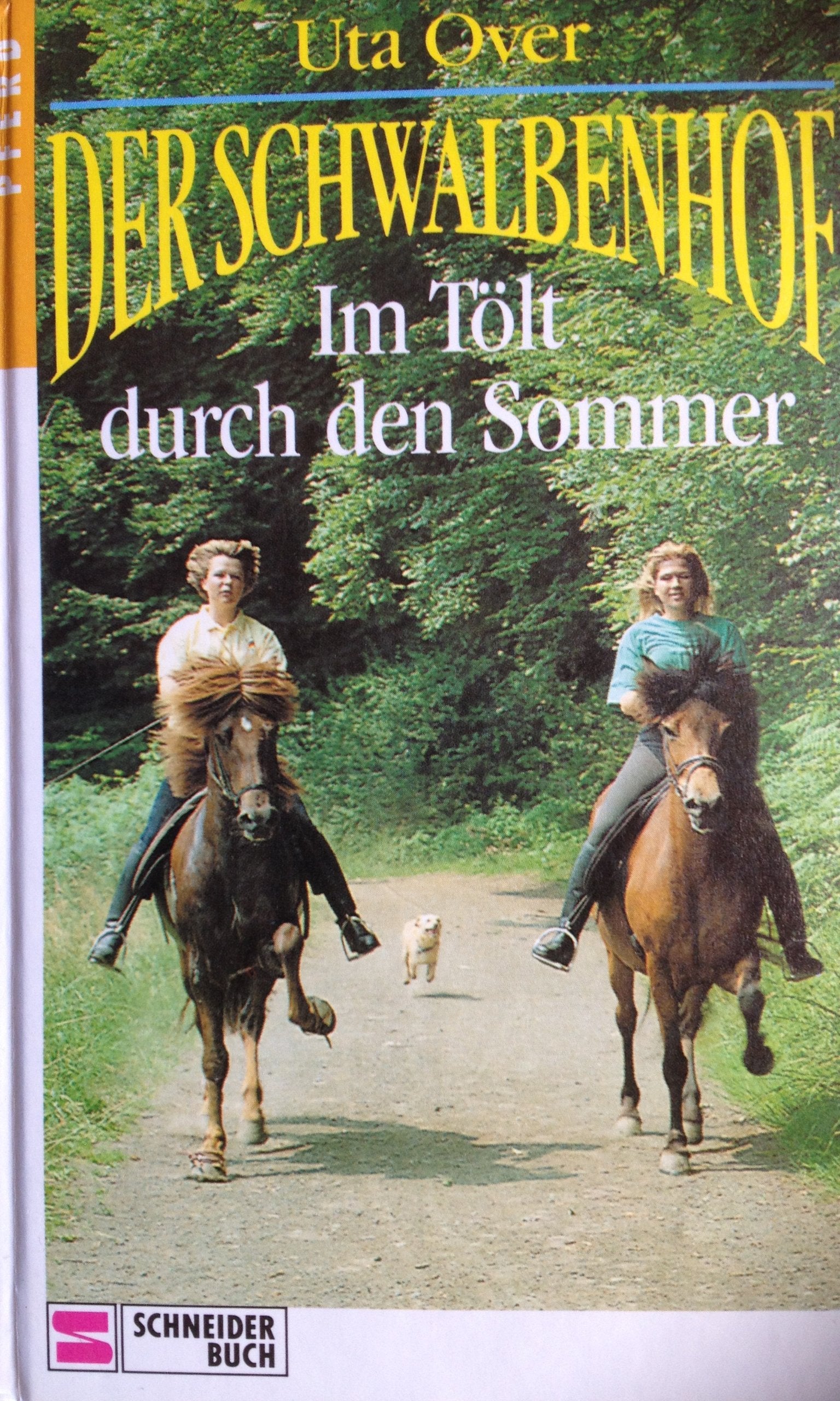 Der Schwalbenhof, Bd.5, Im Tölt durch den Sommer Books