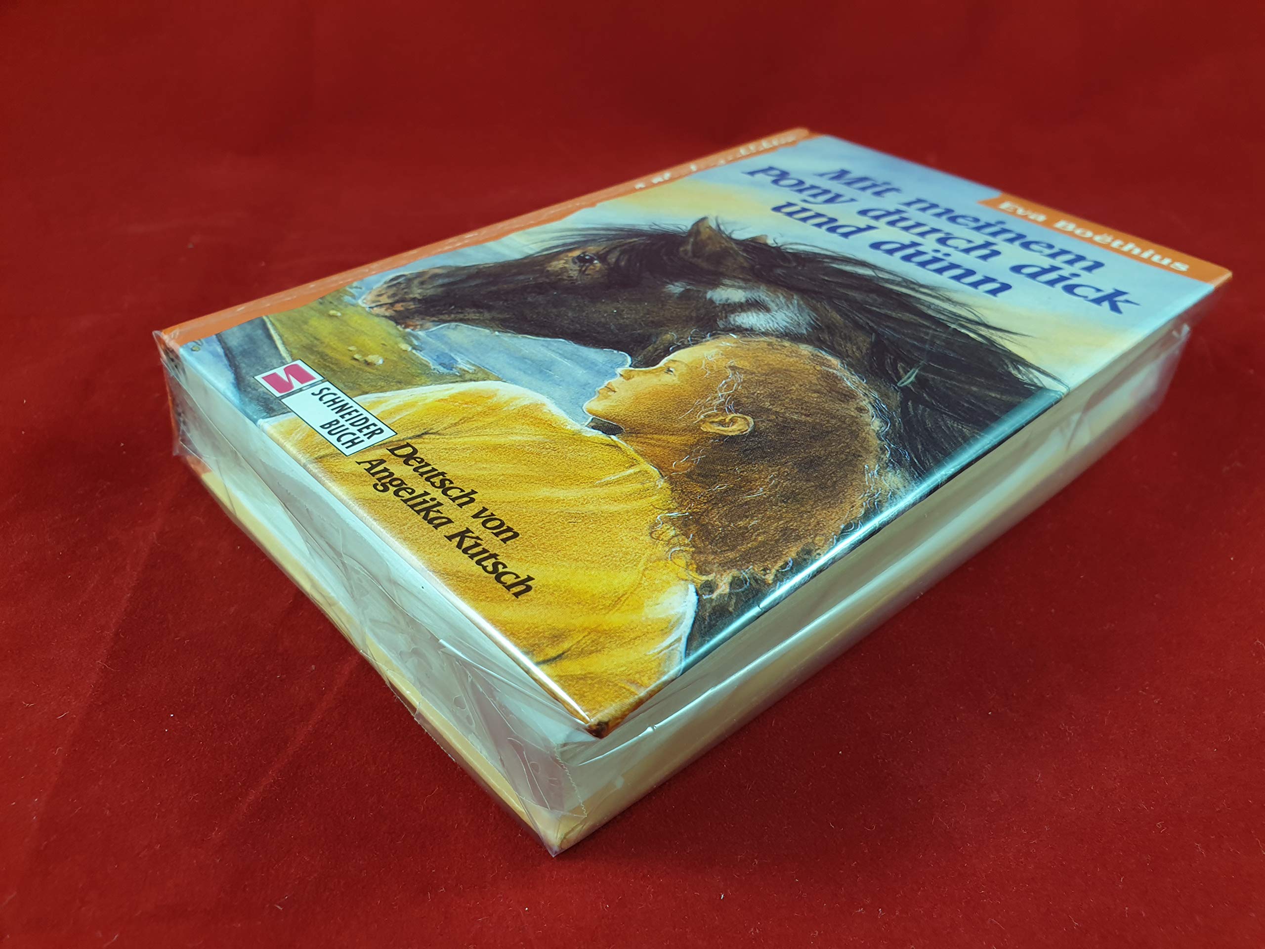 Mit meinem Pony durch dick und dünn Books