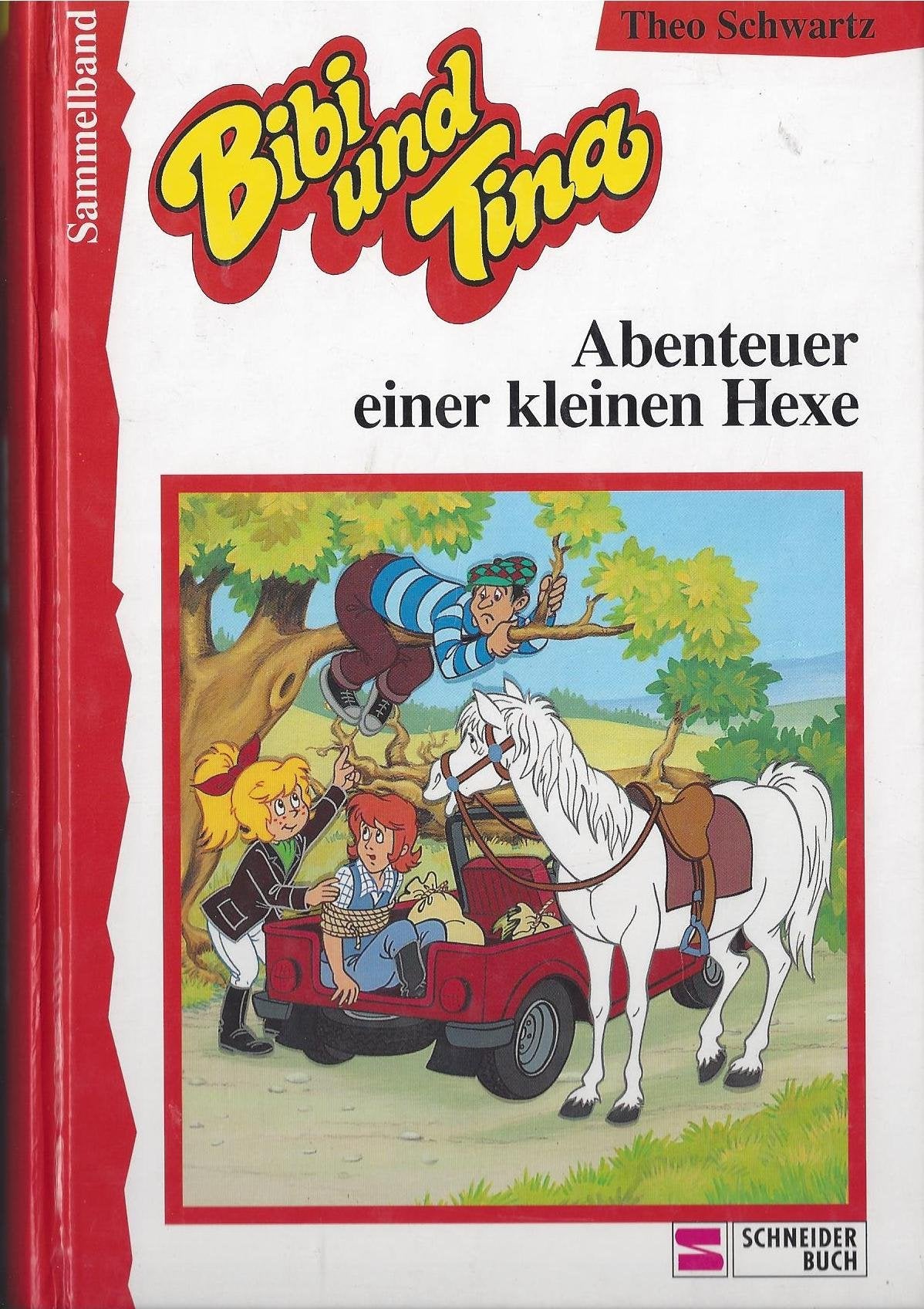 Bibi und Tina: Abenteuer einer kleinen Hexe Books