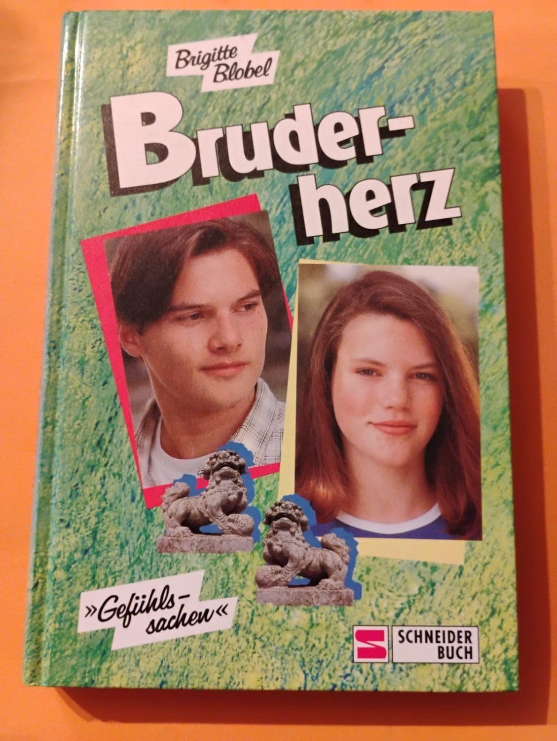 Gefühlssachen / Bruderherz Books