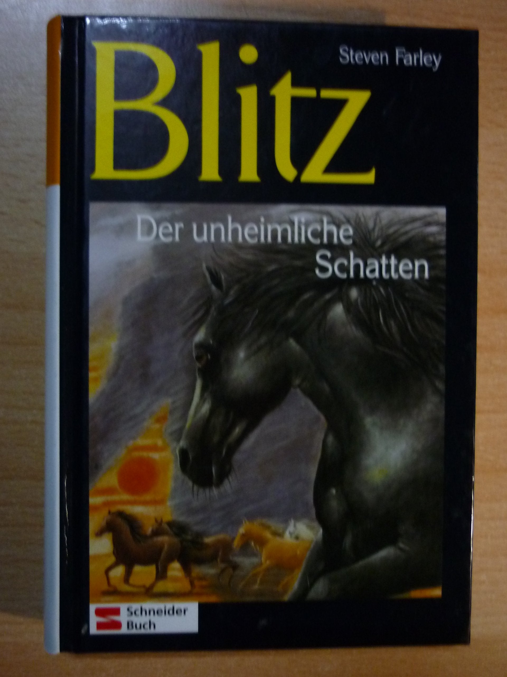 Blitz, Bd.14, Blitz, der unheimliche Schatten Books
