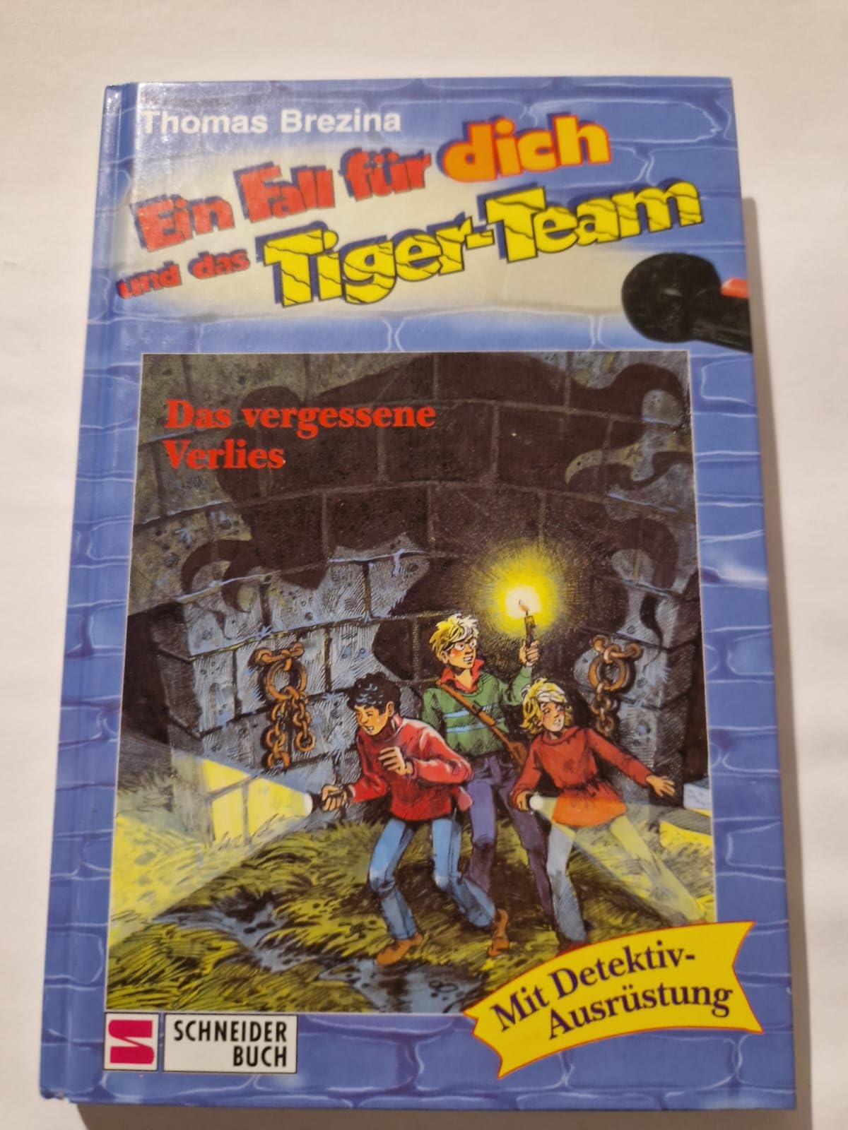 Ein Fall für dich und das Tiger-Team, Bd.16, Das vergessene Verlies: Rate-Krimi-Serie Novels & Short Stories