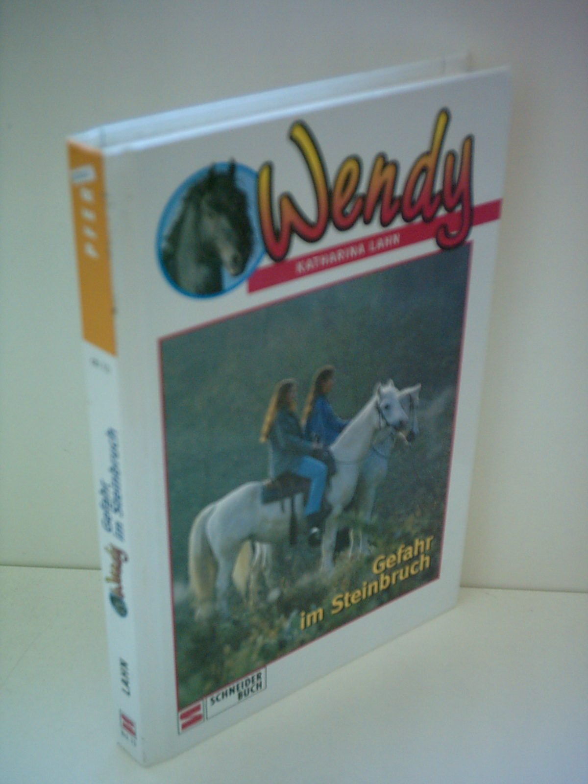 Wendy, Bd.13, Gefahr im Steinbruch Books