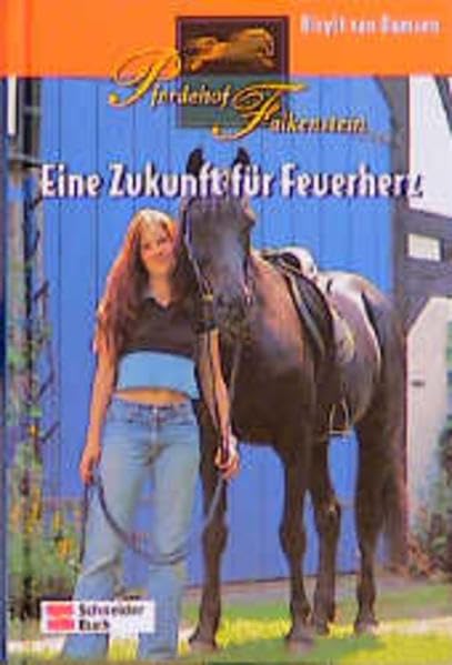 Pferdehof Falkenstein, Bd.4, Eine Zukunft für Feuerherz Books