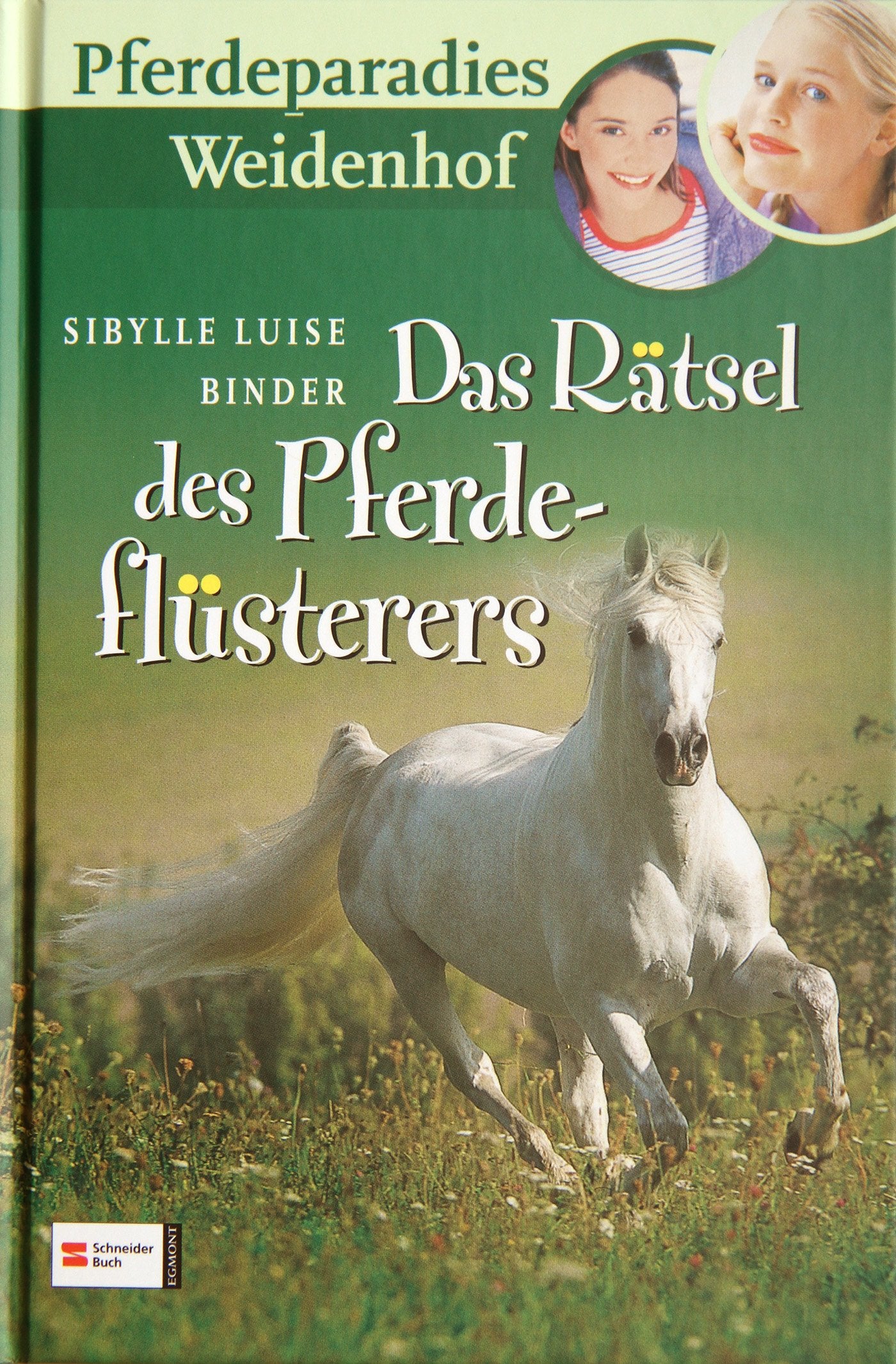 Pferdeparadies Weidenhof, Band 02: Das Rätsel des Pferdeflüsterers Novels & Short Stories