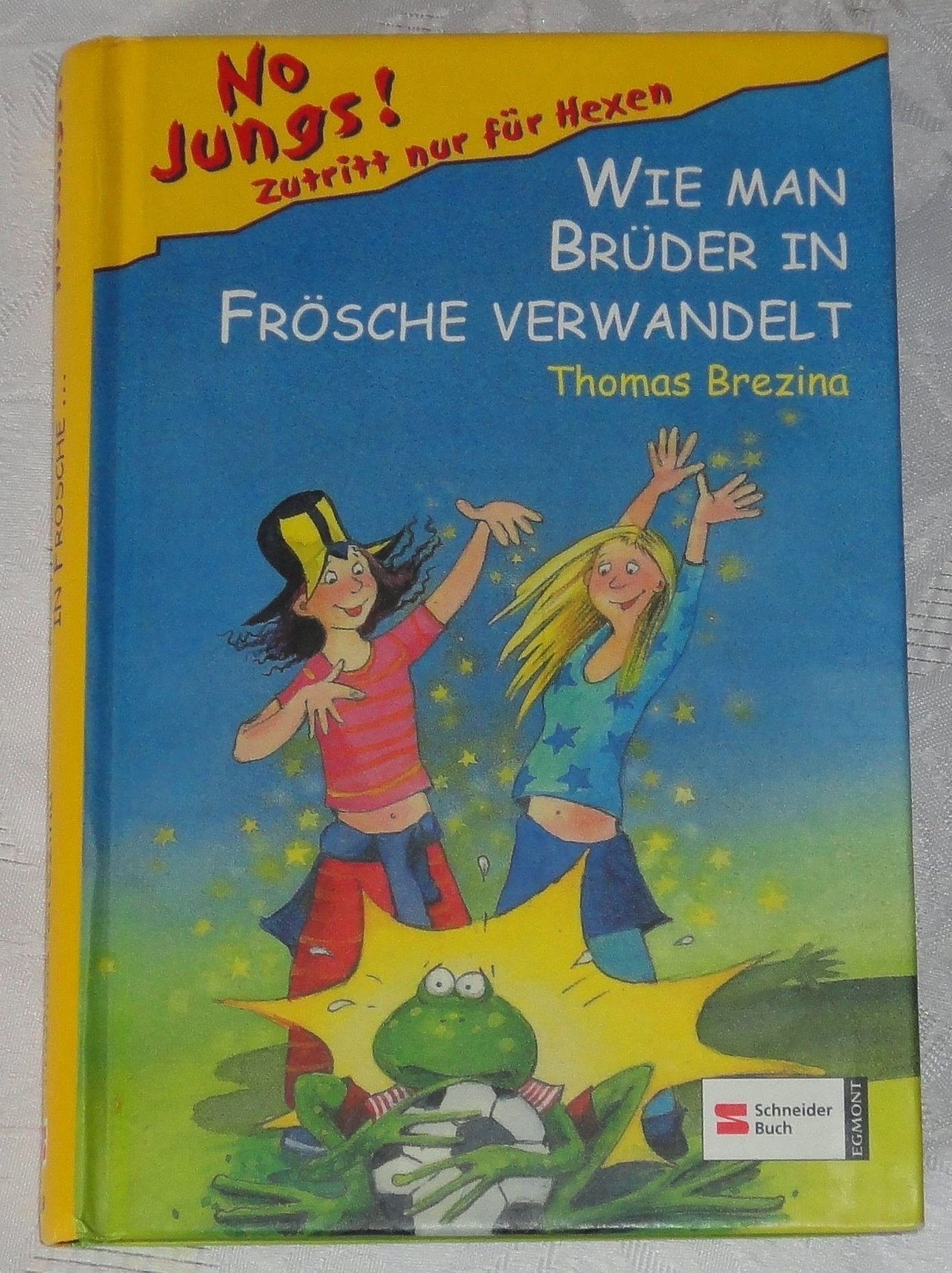No Jungs! 02. Wie man Brüder in Frösche verwandelt Novels & Short Stories