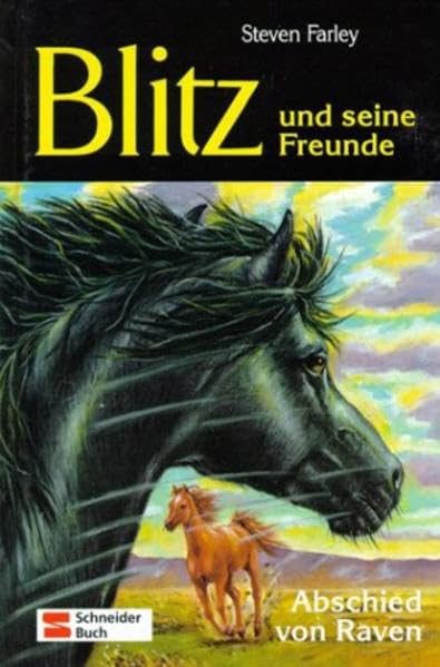 Blitz und seine Freunde, Bd.6, Abschied von Raven Books