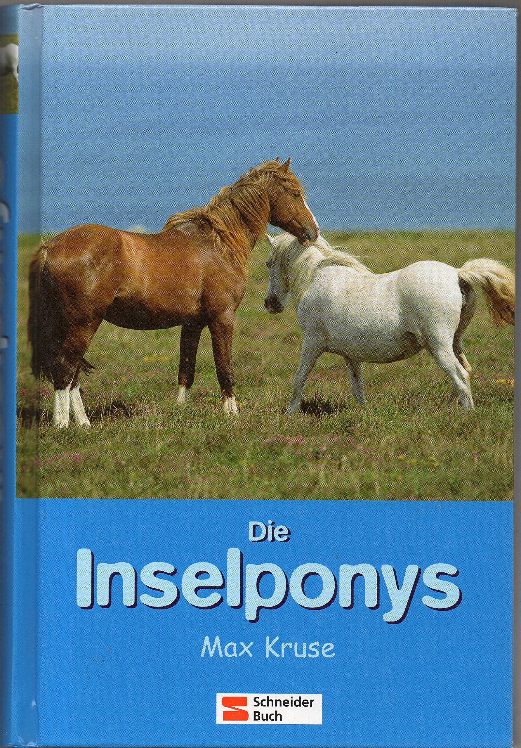 Die Ponys von der Insel / Die Inselponys: Sternenauge /Goldhaar /Silberfell Books