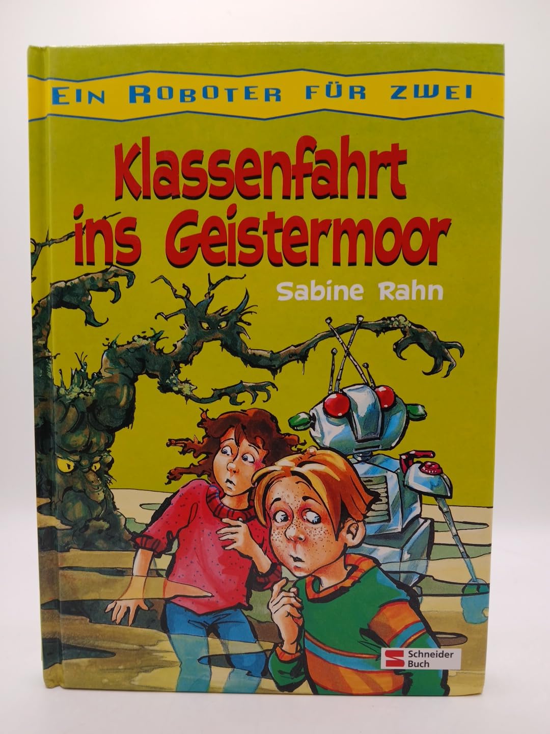 Ein Roboter für zwei / Klassenfahrt in Geistermoor Books