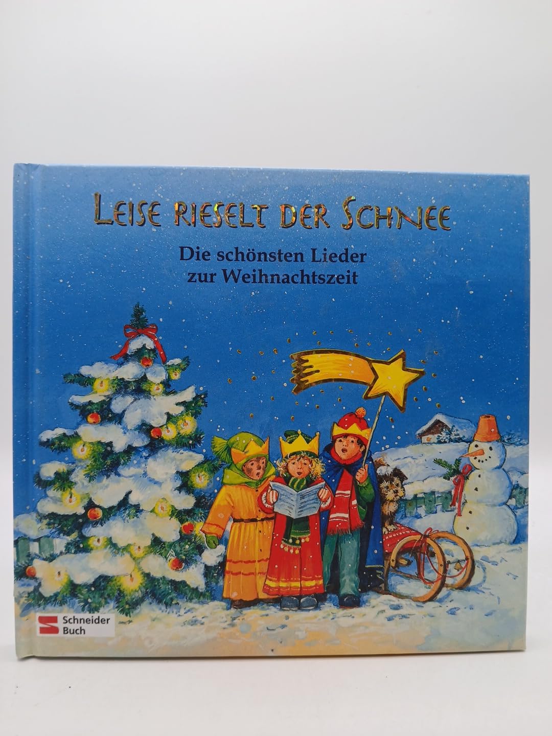Leise rieselt der Schnee: Die schönsten Lieder zur Weihnachtszeit Books