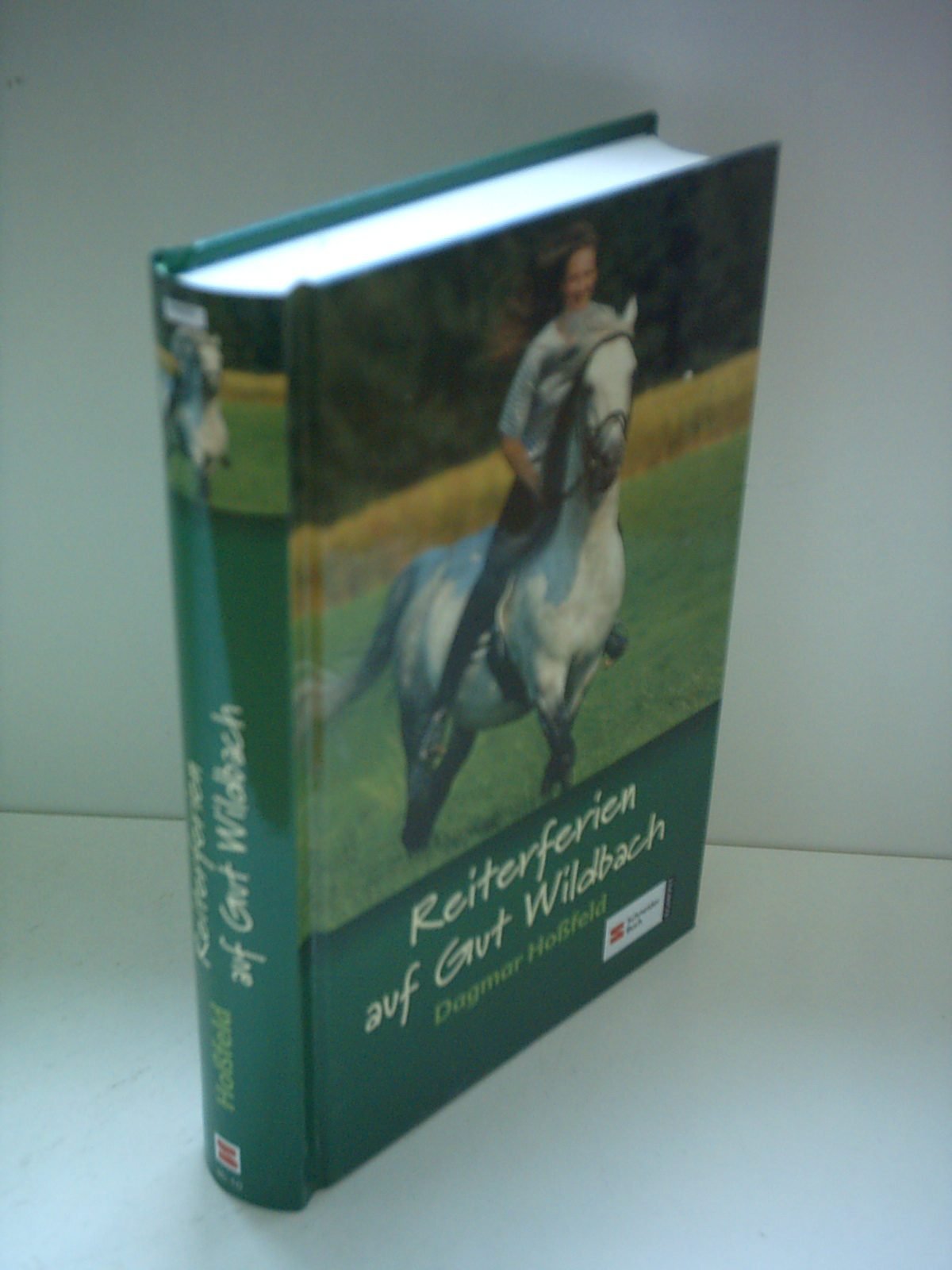 Erlengrund: Reiterferien auf Gut Wildbach. Novels & Short Stories