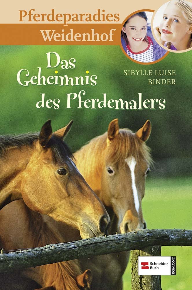 Pferdeparadies Weidenhof, Bd. 10: Das Geheimnis des Pferdemalers Novels & Short Stories
