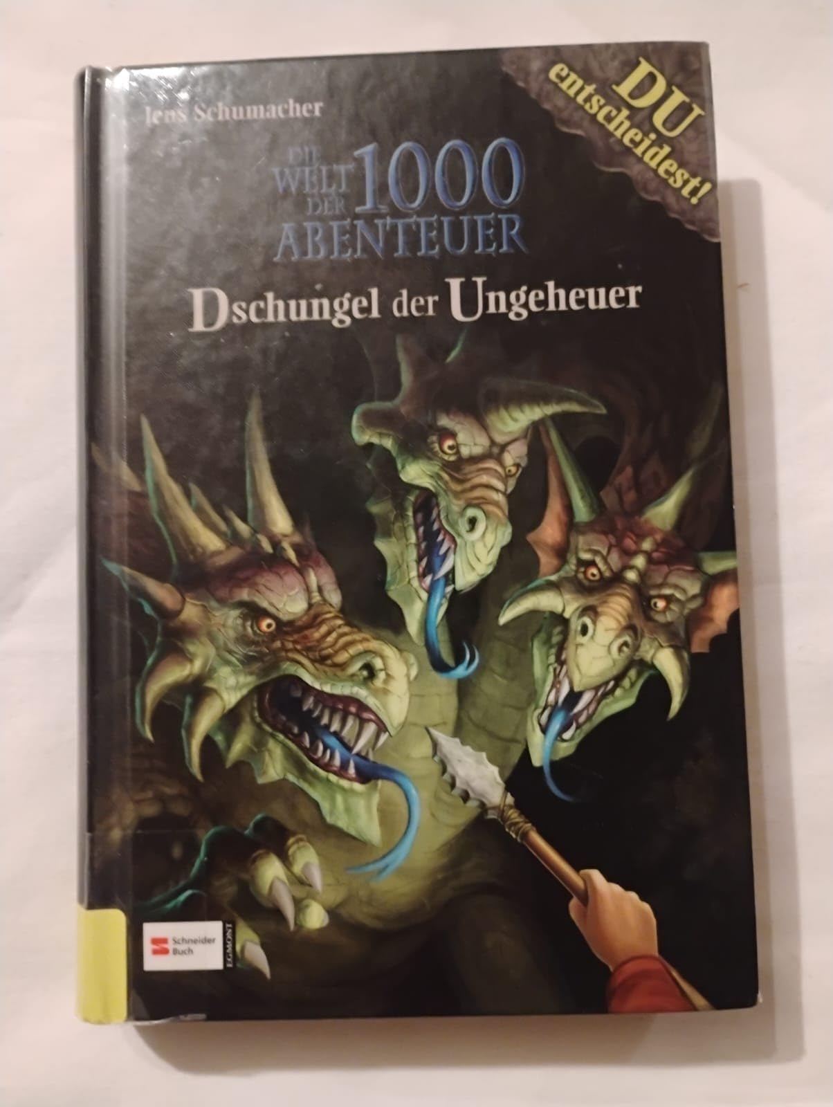 Die Welt der 1000 Abenteuer, Band 07: Dschungel der Ungeheuer: Ein Fantasy-Abenteuer-Spielbuch mit DIR in der Hauptrolle Novels & Short Stories