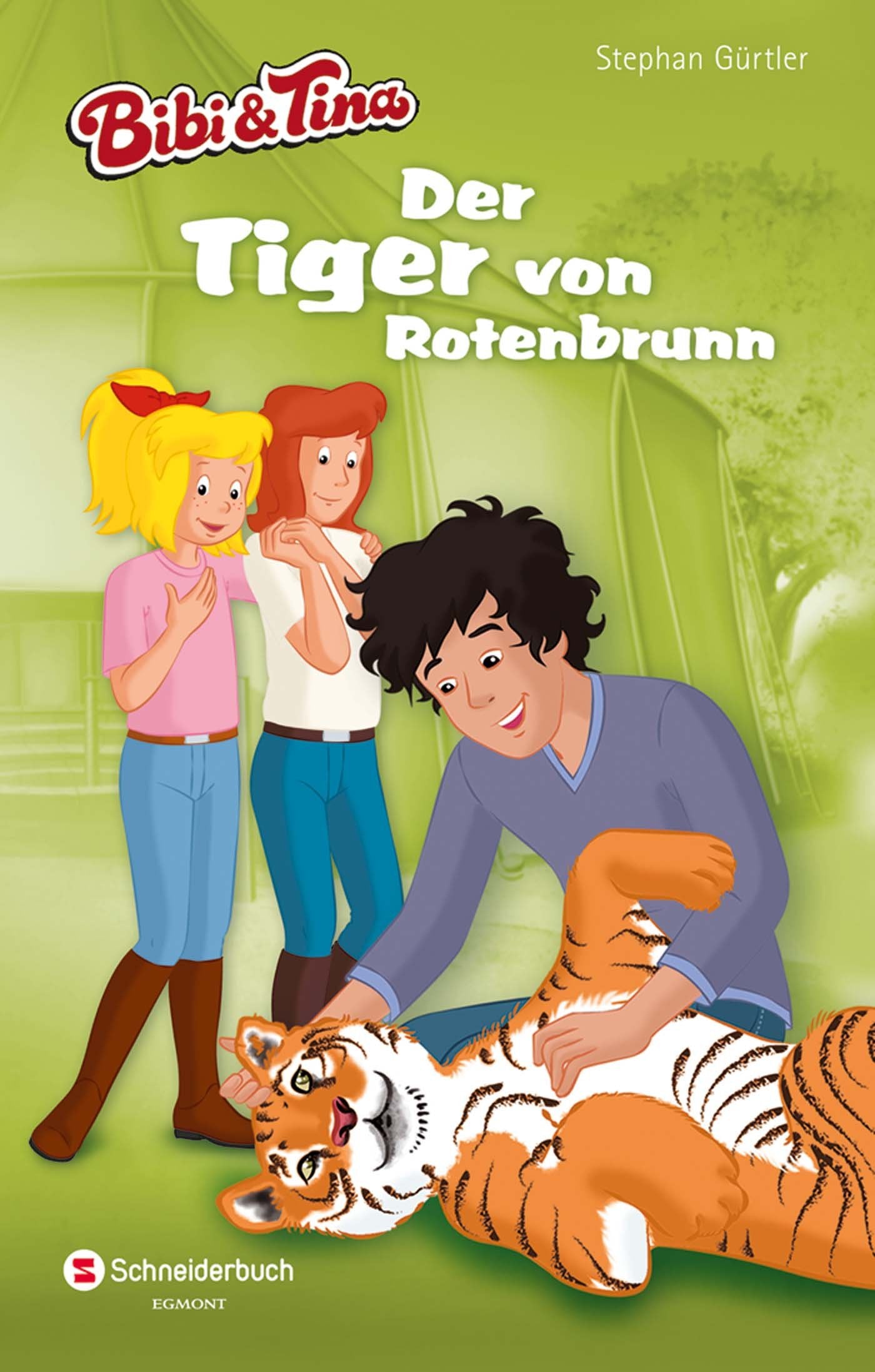 Bibi & Tina - Der Tiger von Rotenbrunn Novels & Short Stories