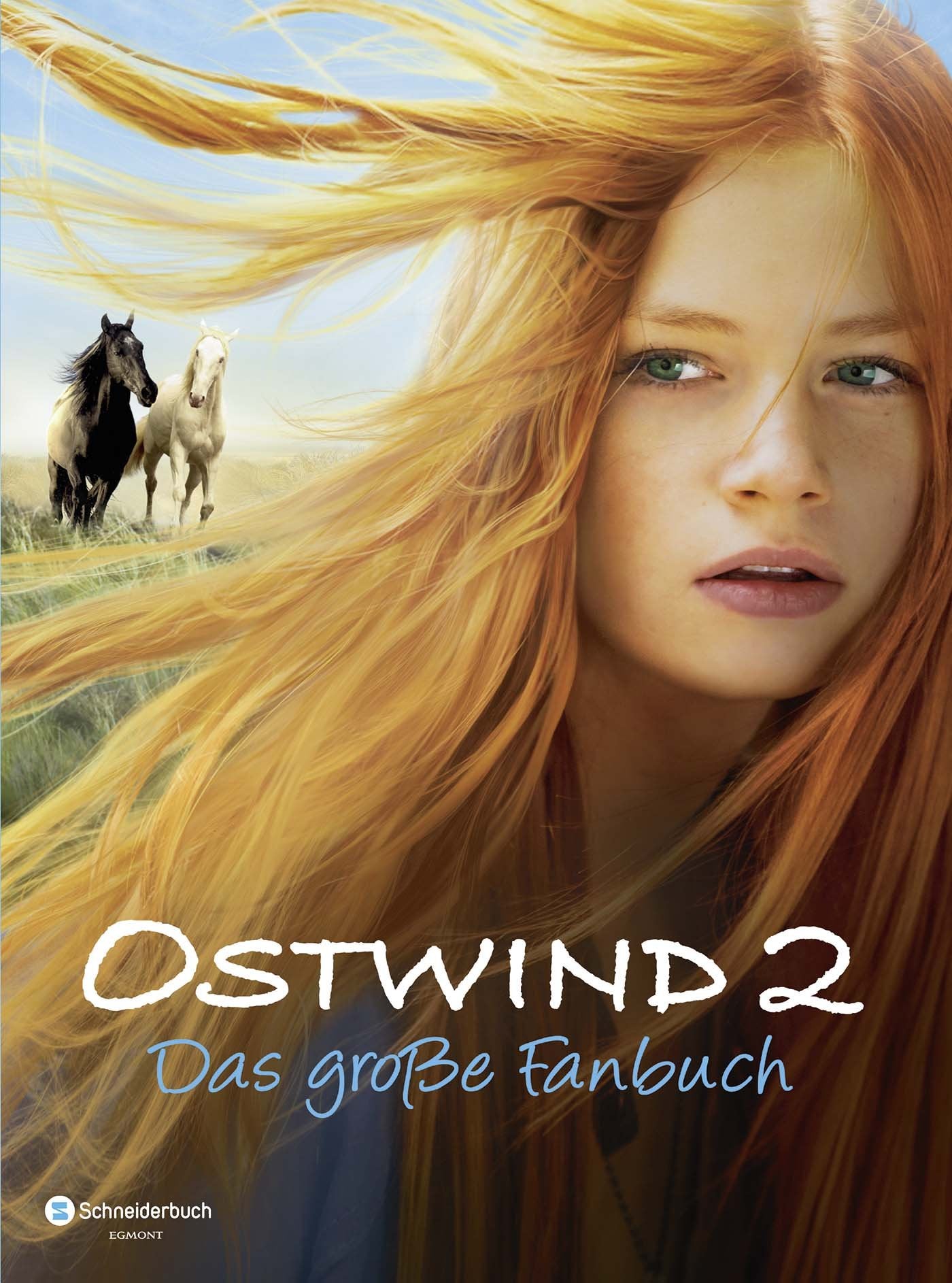 Ostwind 2 - Das große Fanbuch Novels & Short Stories for children
