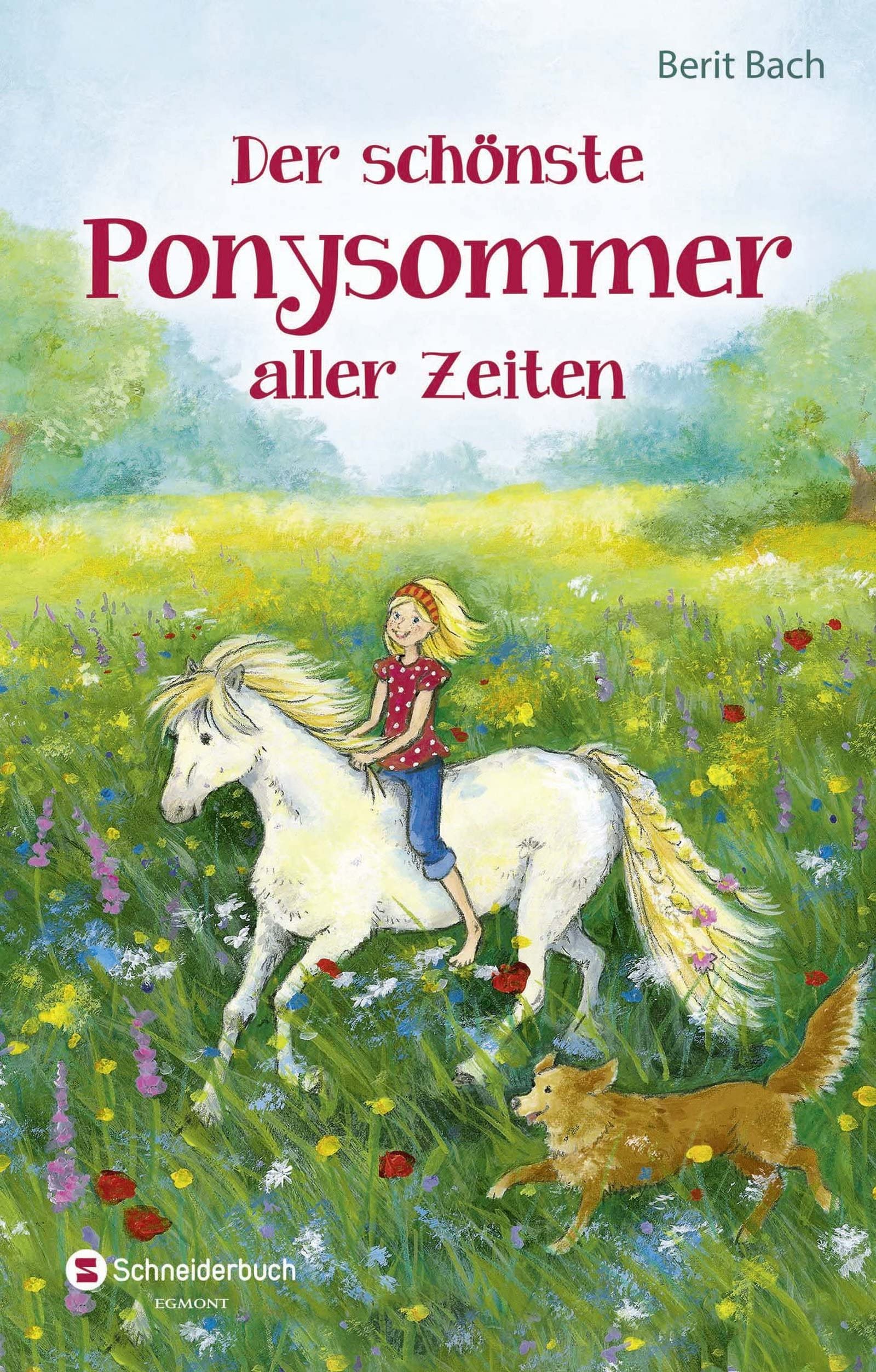Der schönste Ponysommer aller Zeiten Novels & Short Stories