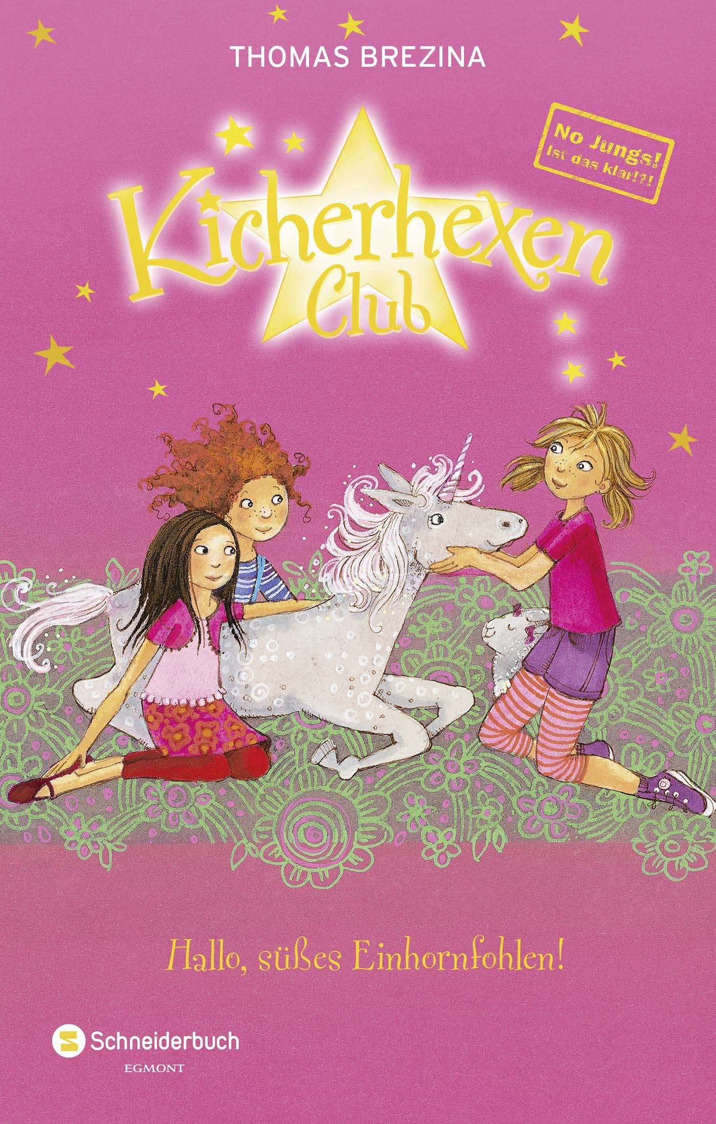 No Jungs! 10. Hallo, süßes Einhornfohlen! Novels & Short Stories