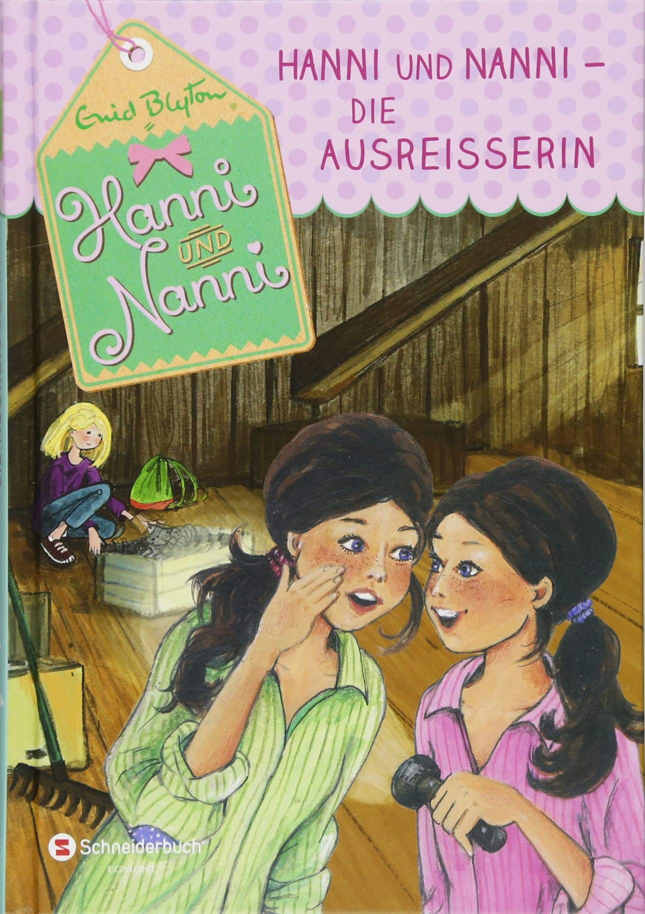 Hanni und Nanni, Band 25: Die Ausreißerin Novels & Short Stories