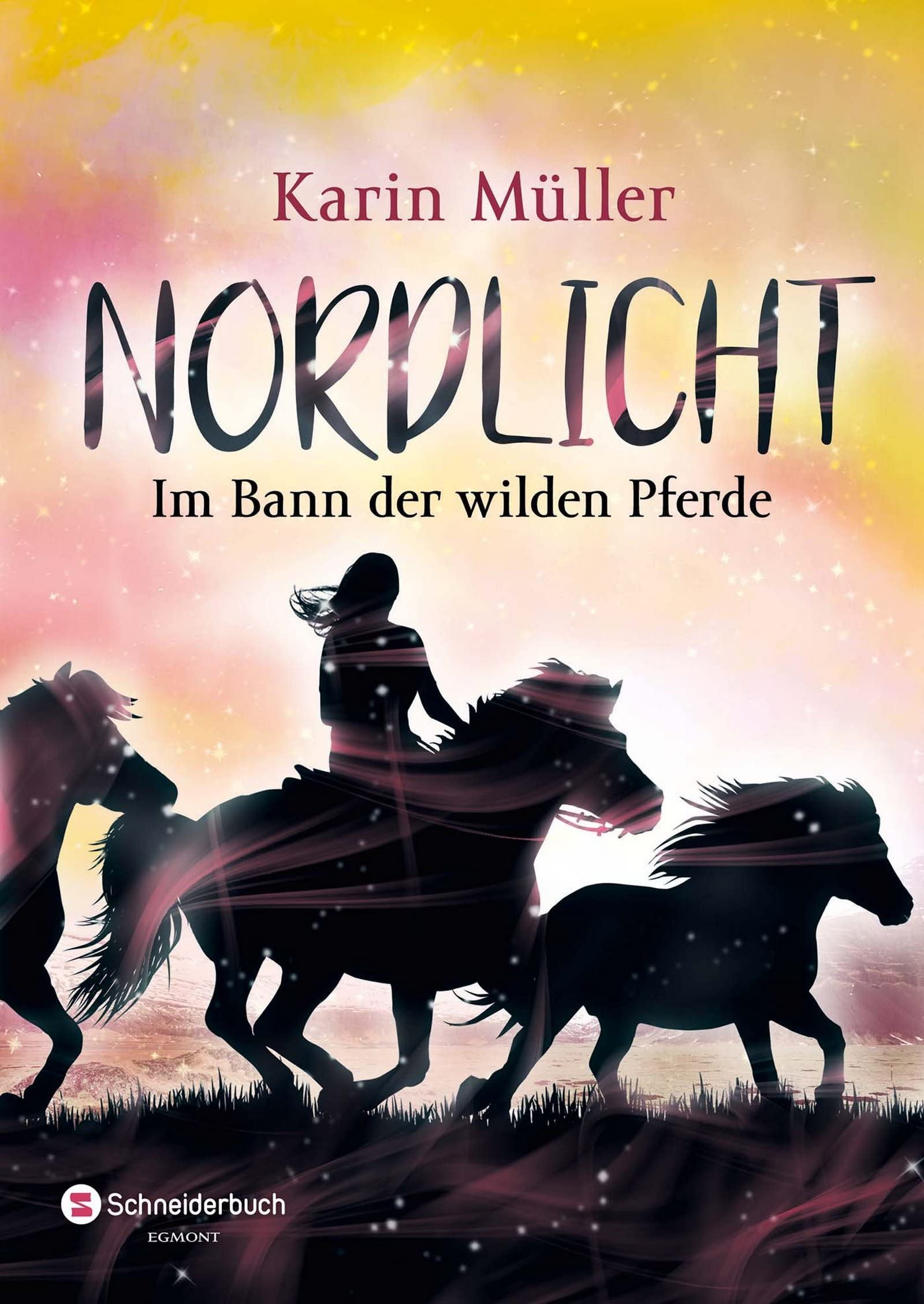Product Image: Nordlicht, Band 02