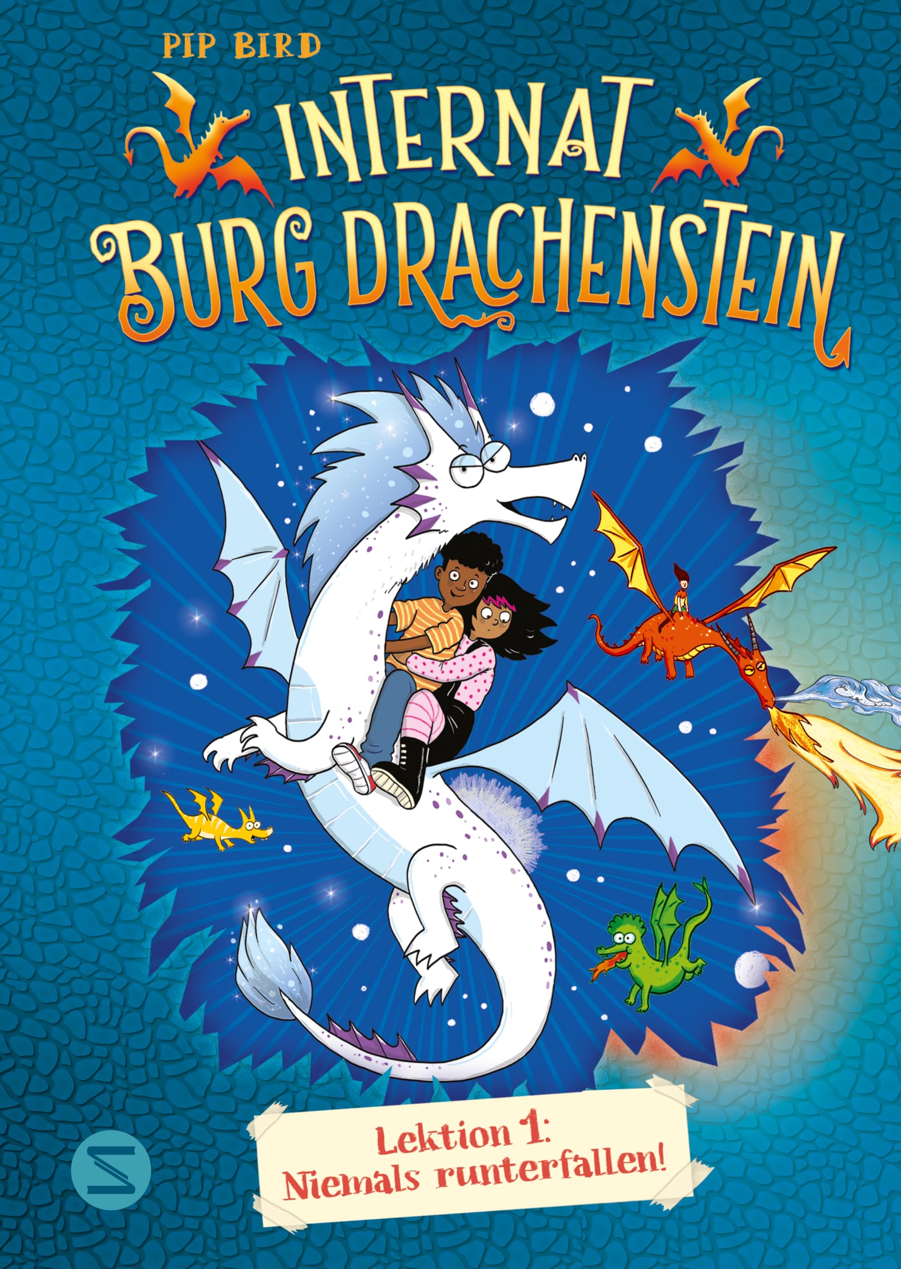 Internat Burg Drachenstein. Drachenreiten Lektion 1: Niemals runterfallen! Non-fiction