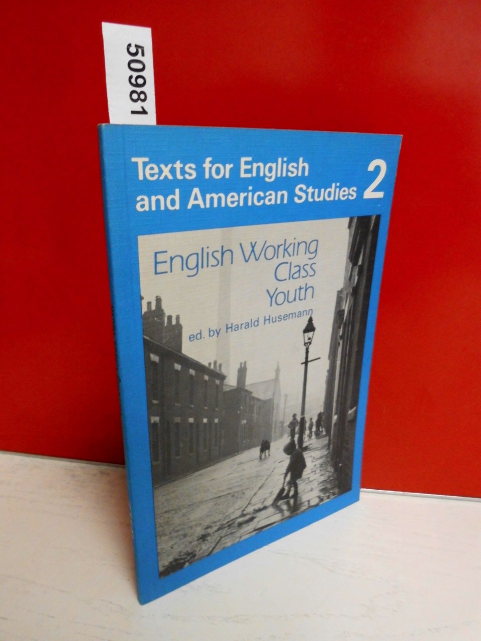 Texts for English and American Studies / English Working Class Youth: The Fates of Individuals in Popular Fiction and Sociological Studies. - Students' Book Books