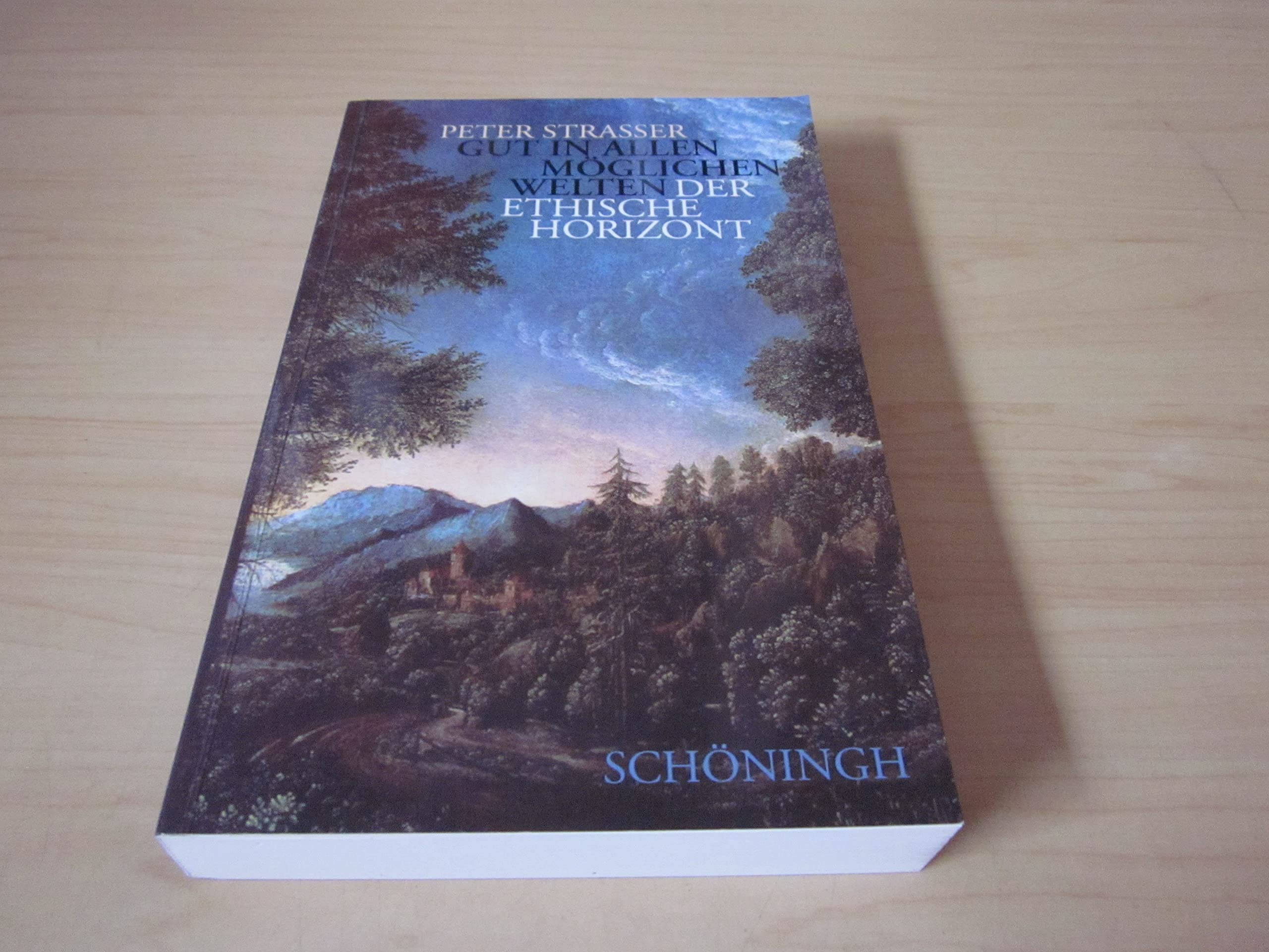 Gut in allen möglichen Welten: Der ethische Horizont Philosophy