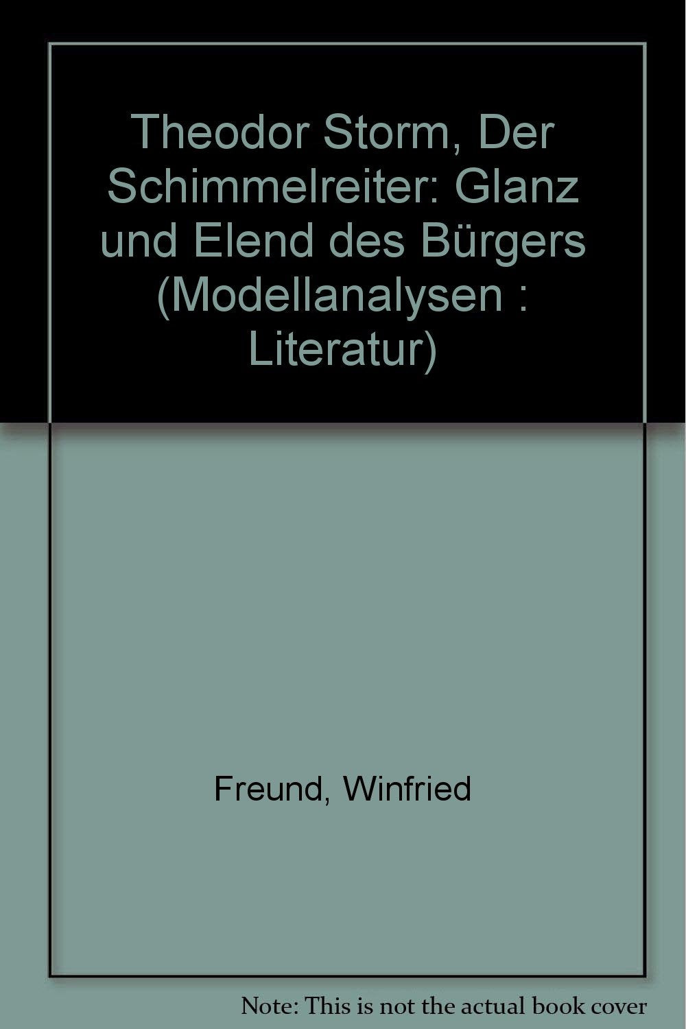 Theodor Storm: Der Schimmelreiter: Glanz und Elend des Bürgers (Modellanalysen: Literatur) Professional & Reference Books