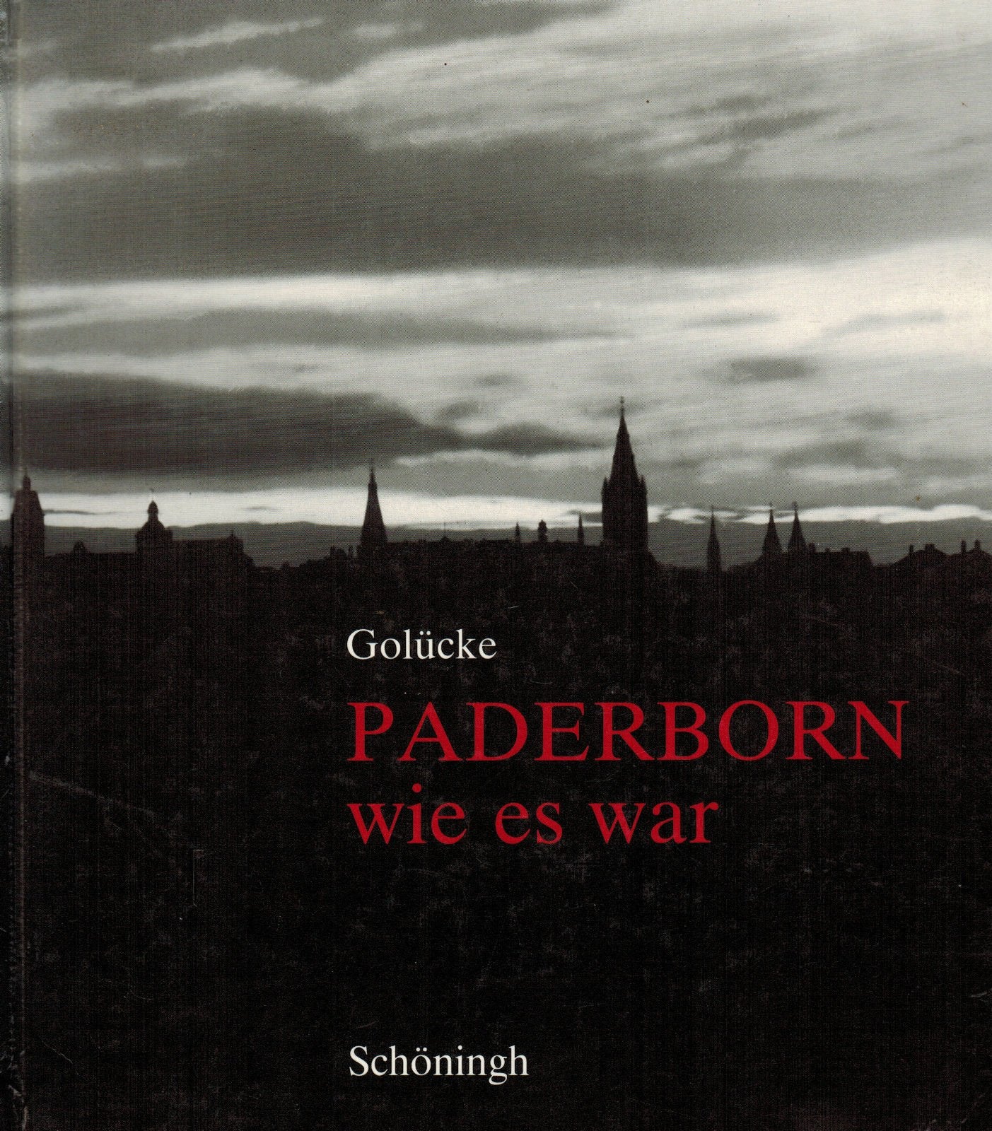 Paderborn wie es war: Lichtbilder aus der Zeit vor 1945 book