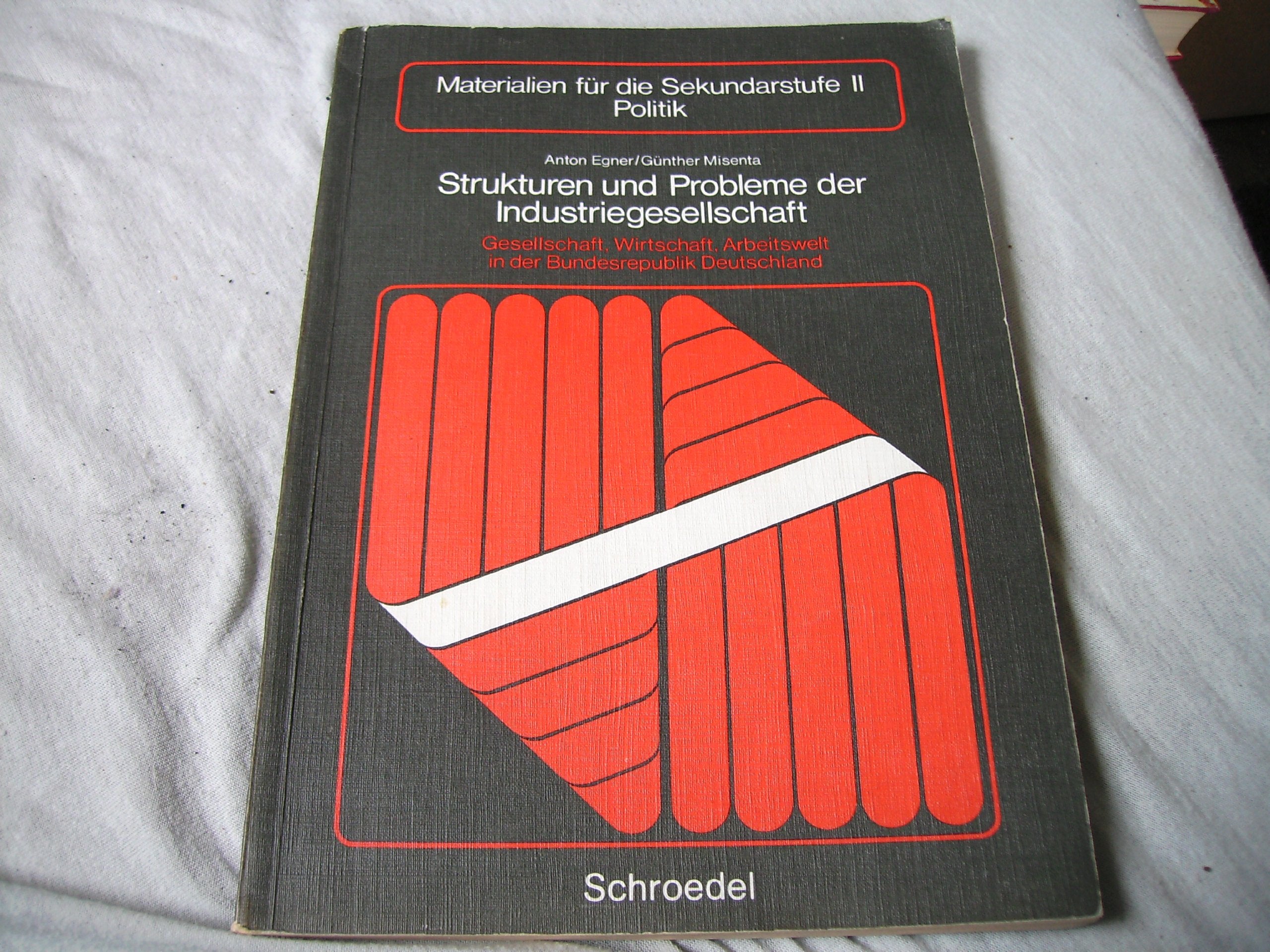 Strukturen und Probleme der Industriegesellschaft: Gesellschaft, Wirtschaft, Arbeitswelt in der Bundesrepublik Politics & History