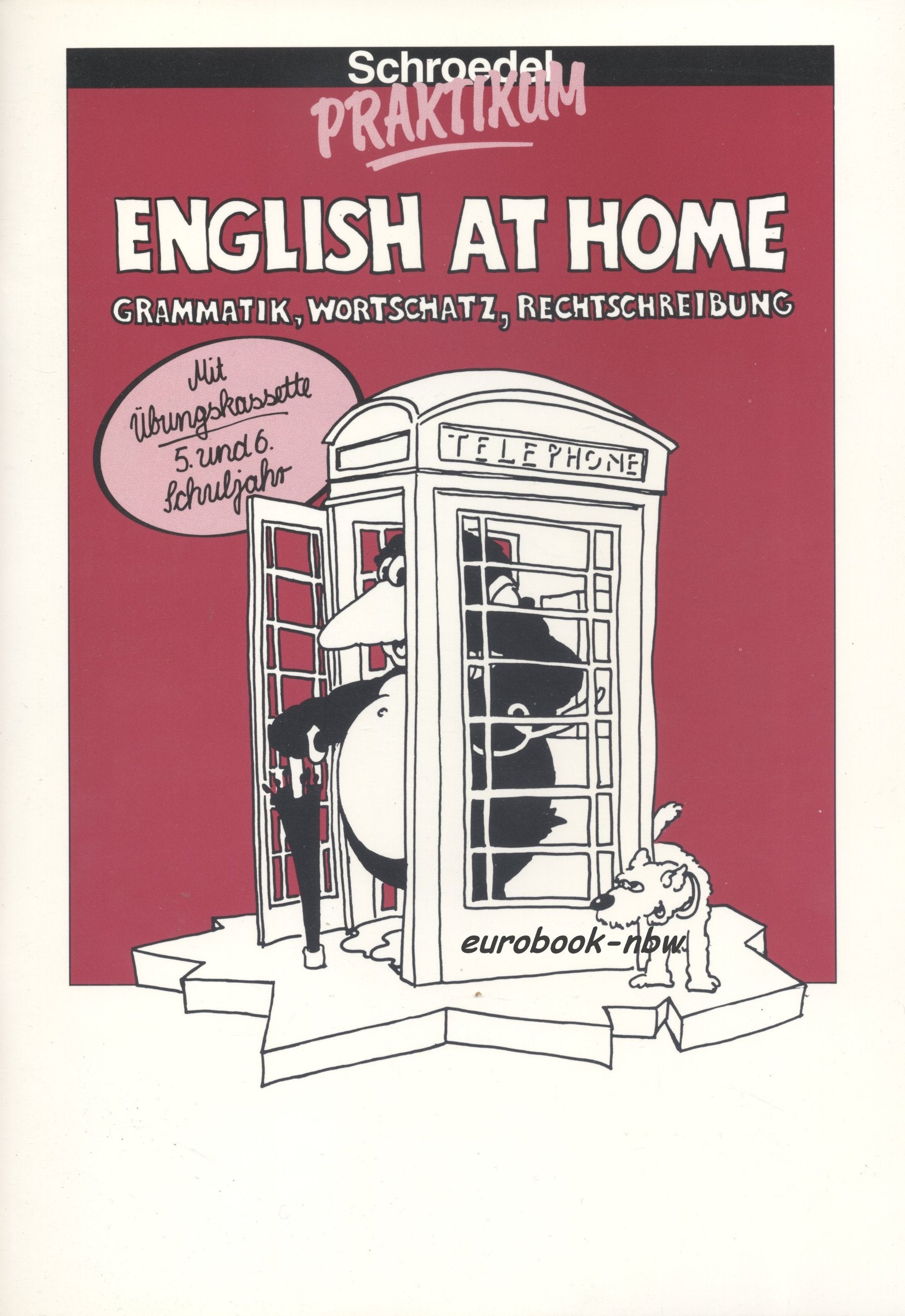 Schroedel Praktikum. English at Home: Grammatik, Wortschatz, Rechtschreibung. 5. und 6. Schuljahr (Inkl. Kassette) General education