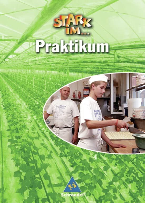 Stark in... Arbeit und Wirtschaft: Stark im... Praktikum. Praktikumsbegleitheft book