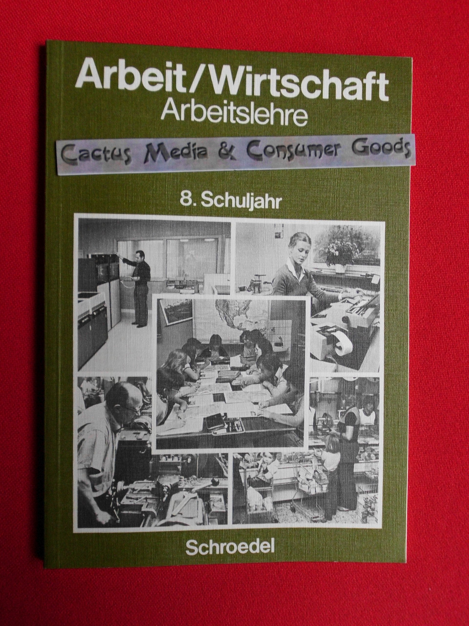 Arbeit / Wirtschaft (Arbeitslehre, Hauptschule, 8. Schuljahr) Books