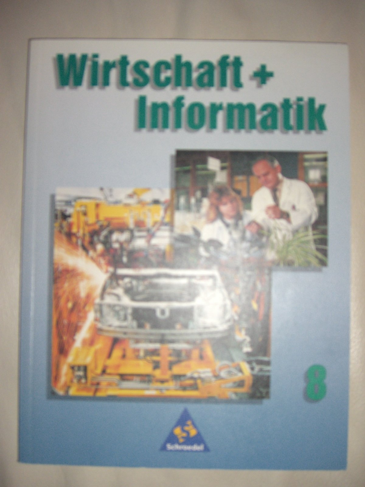 Wirtschaft und Informatik, Klasse 8: Schülerband 8 (Wirtschaft + Informatik für Hauptschulen in Baden-Württemberg) Learning & Reference