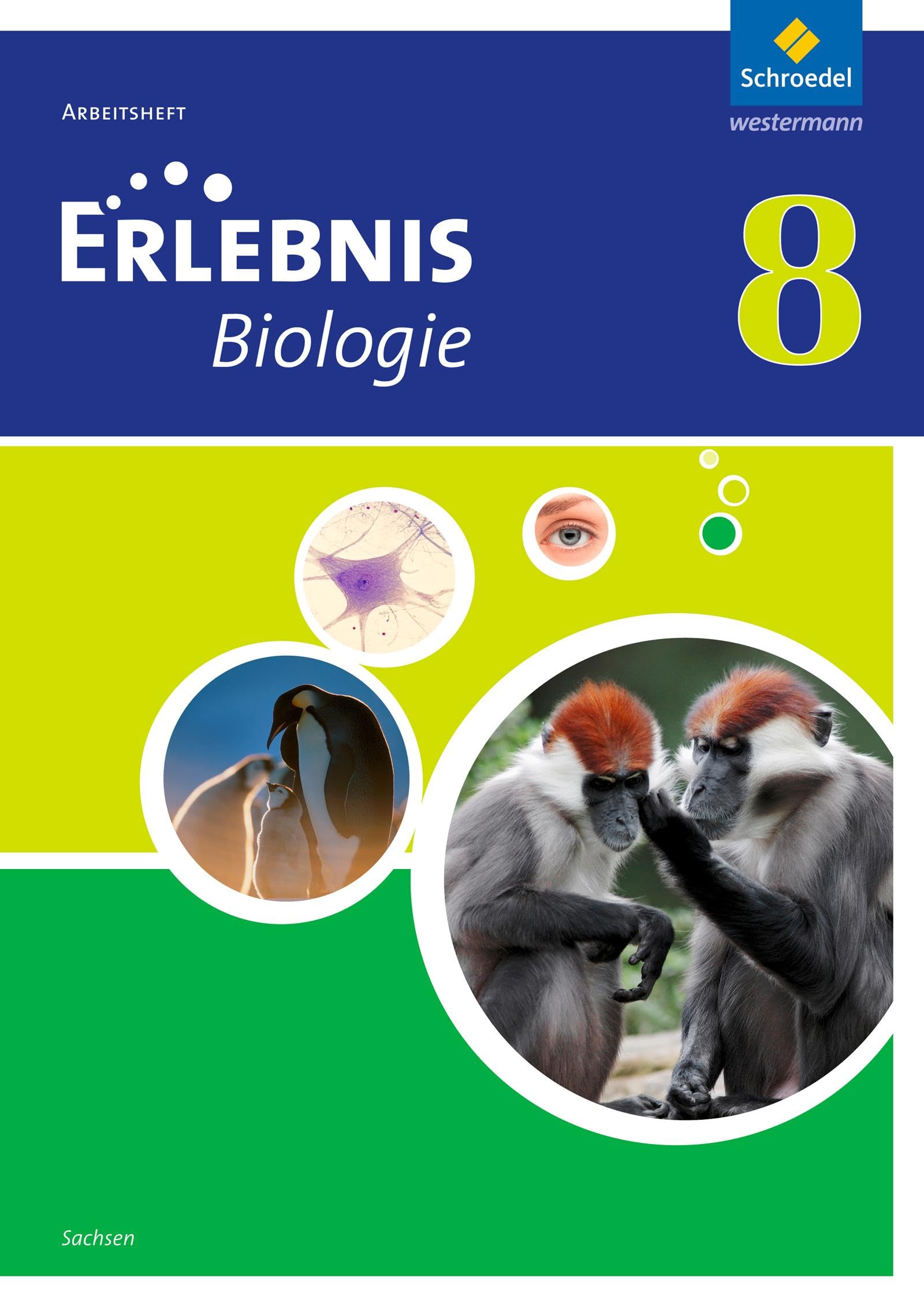 Erlebnis Biologie - Ausgabe 2012 für Sachsen: Arbeitsheft 8 Study Guides