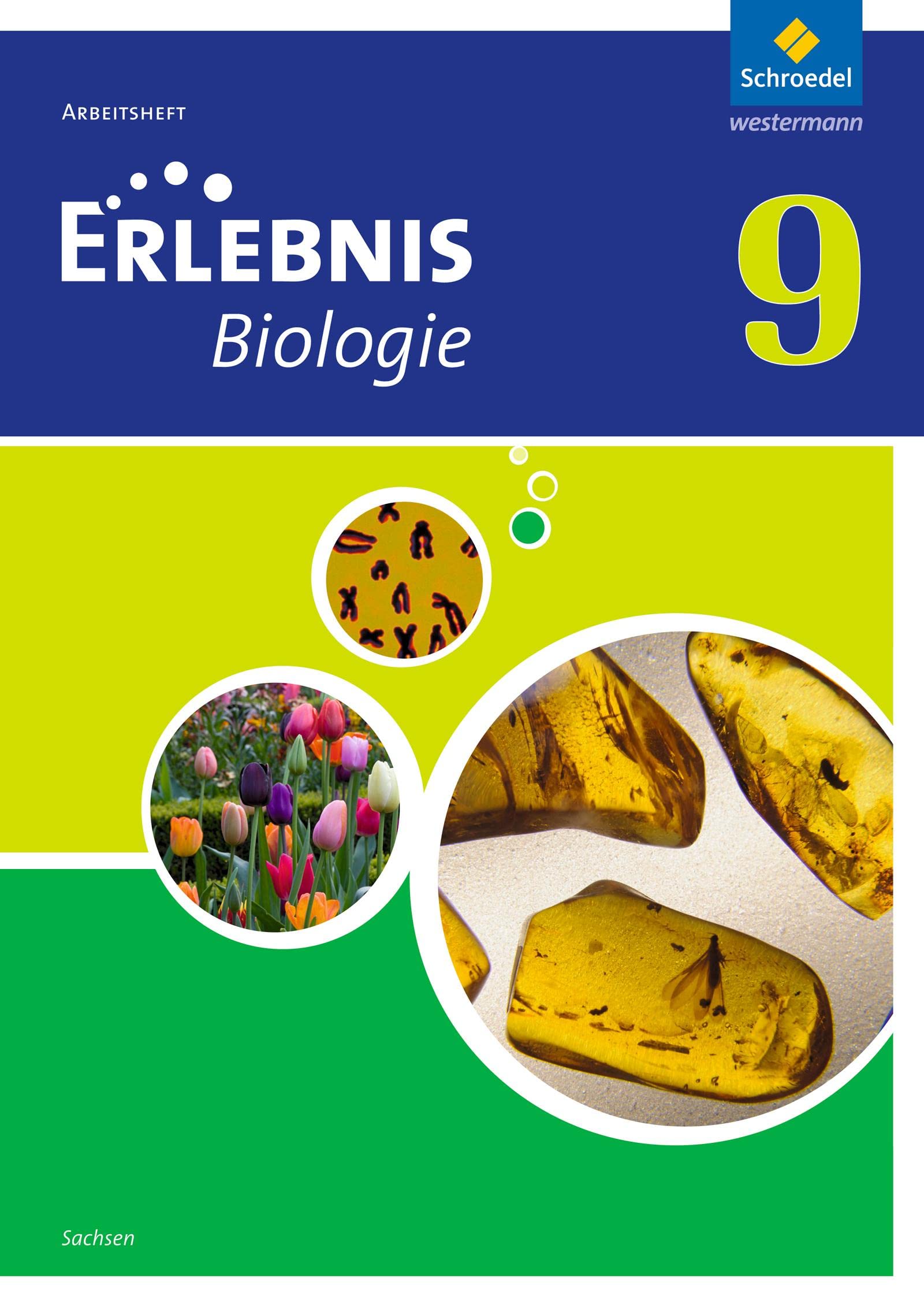 Erlebnis Biologie - Ausgabe 2012 für Sachsen: Arbeitsheft 9 Study Guides