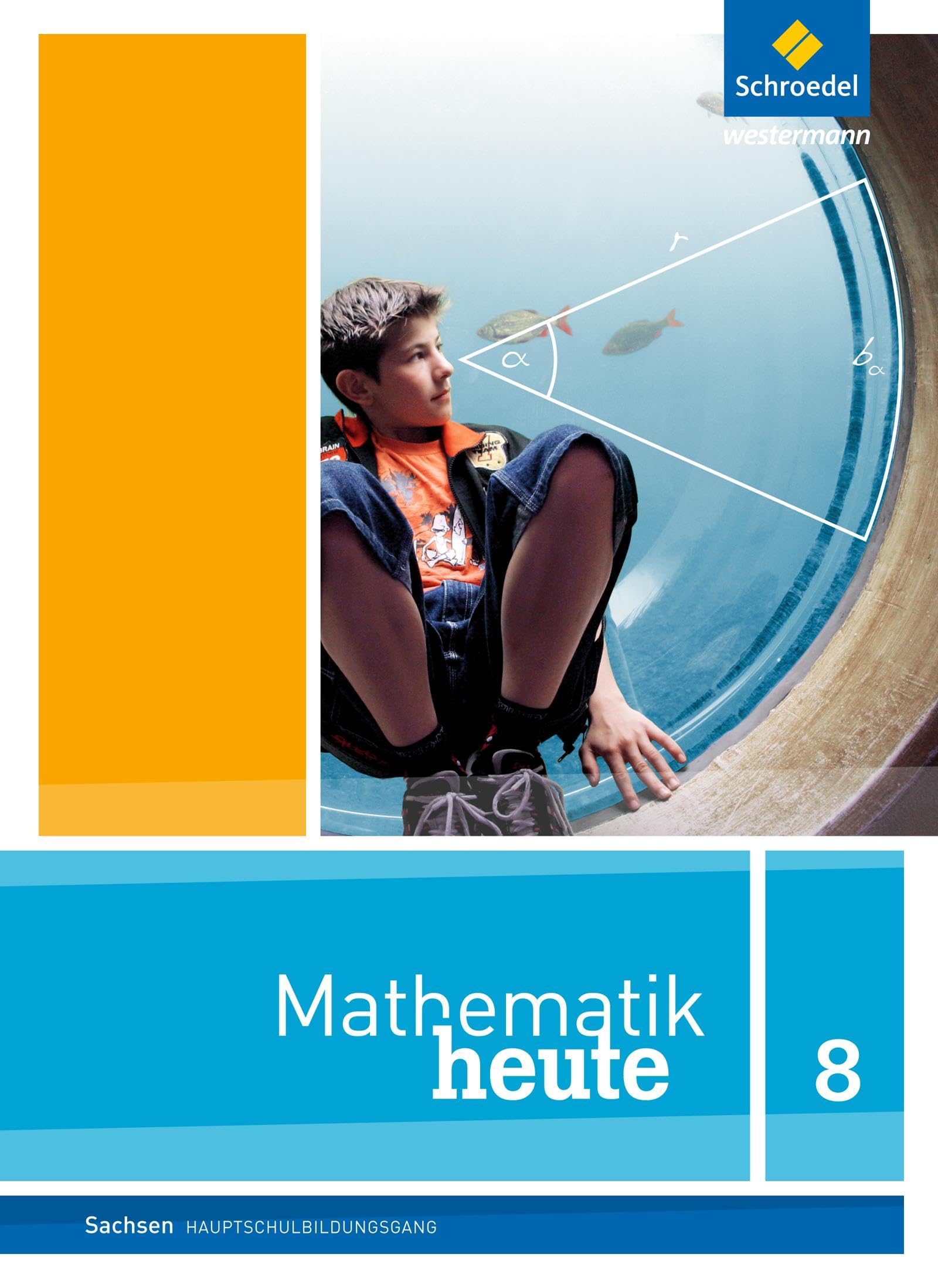Mathematik heute 8. Schulbuch. Hauptschulbildungsgang. Sachsen Study Guides