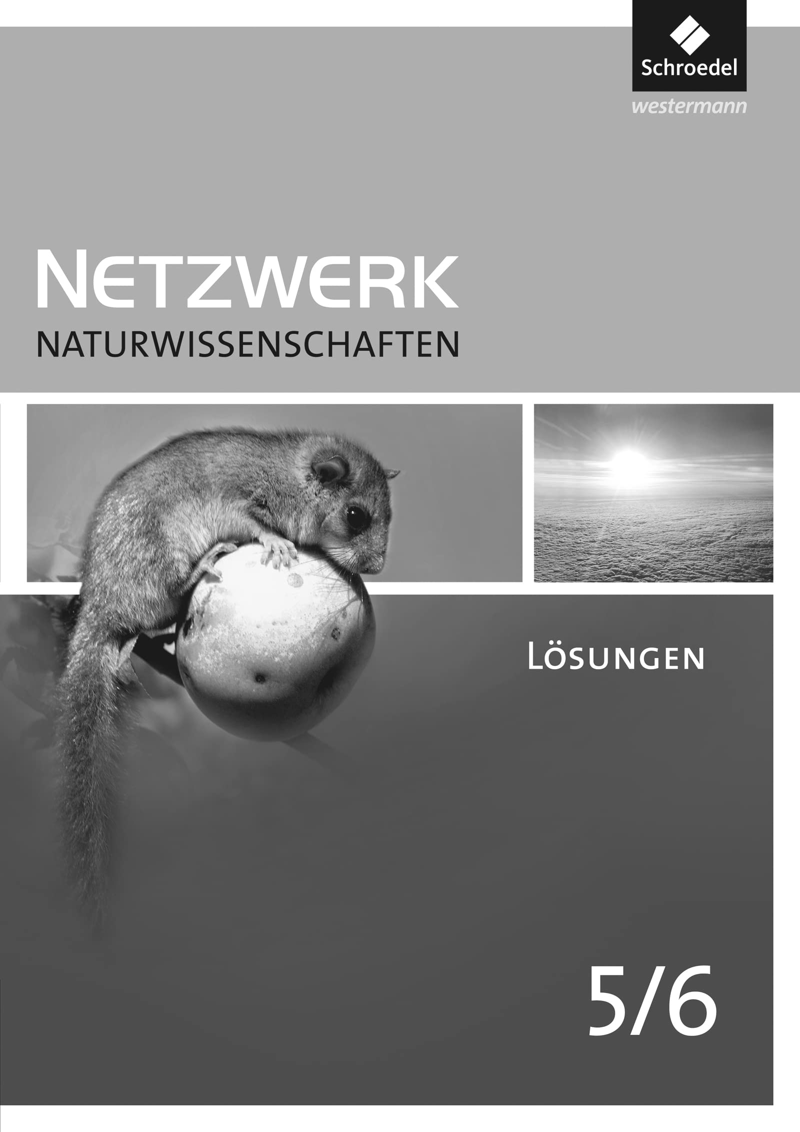 Netzwerk Naturwissenschaften 5./6. Lösungen: Lösungen 5 / 6 (Netzwerk Naturwissenschaften: Lehrermaterialien zu allen Ausgaben) Study Guides
