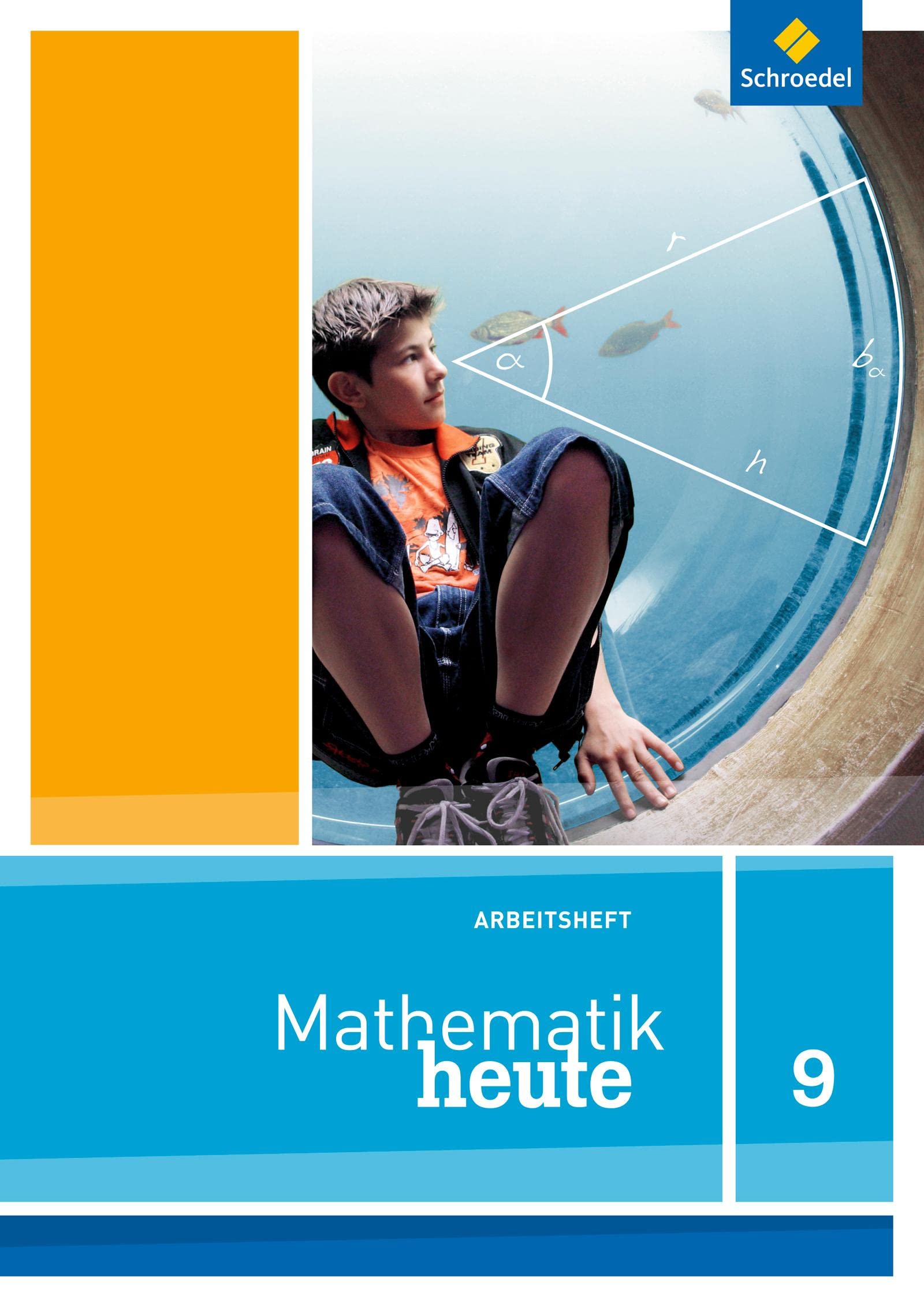 Mathematik heute 9. Arbeitsheft. Niedersachsen Study Guides