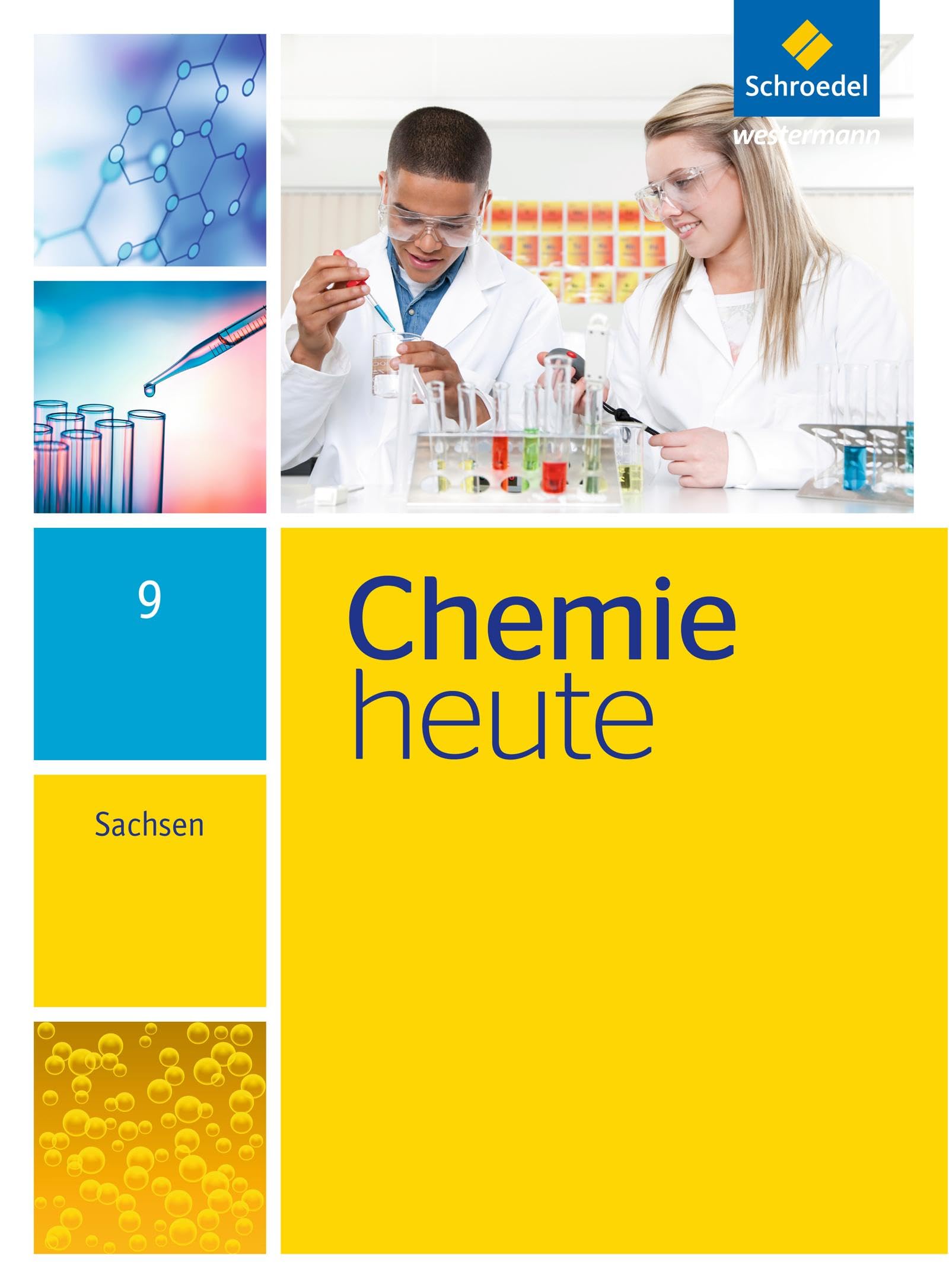 Chemie heute 9. Schulbuch. Sachsen Study Guides