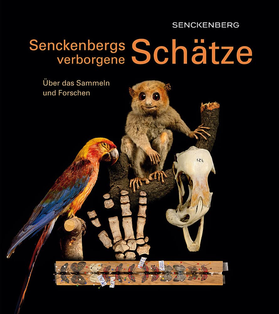 Senckenbergs verborgene Schätze: Über das Sammeln und Forschen (Kleine Senckenberg-Reihe) Film, Art & Culture