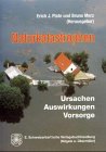 Naturkatastrophen Business & Technology