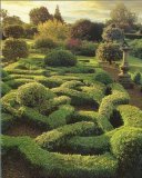 Der Garten. Quelle neuer Energie und Inspiration Contemporary literature