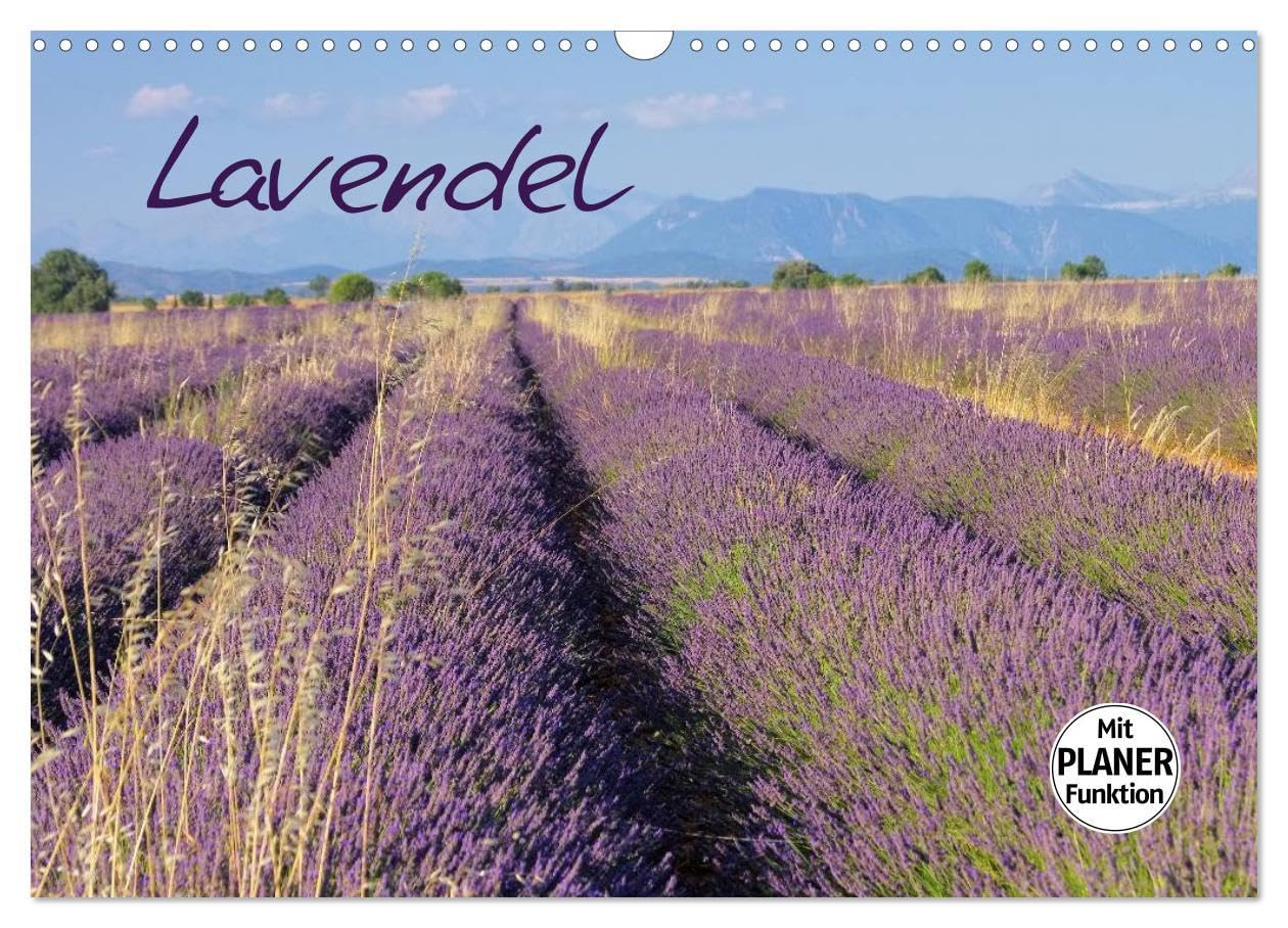 Lavendel (Wandkalender 2026 DIN A3 quer), CALVENDO Monatskalender: Lassen Sie sich mit diesen Bildern in den Süden Frankreichs entführen und genießen ... Landschaft ein ganzes Jahr. (CALVENDO Orte) Leisure, Home & Garden