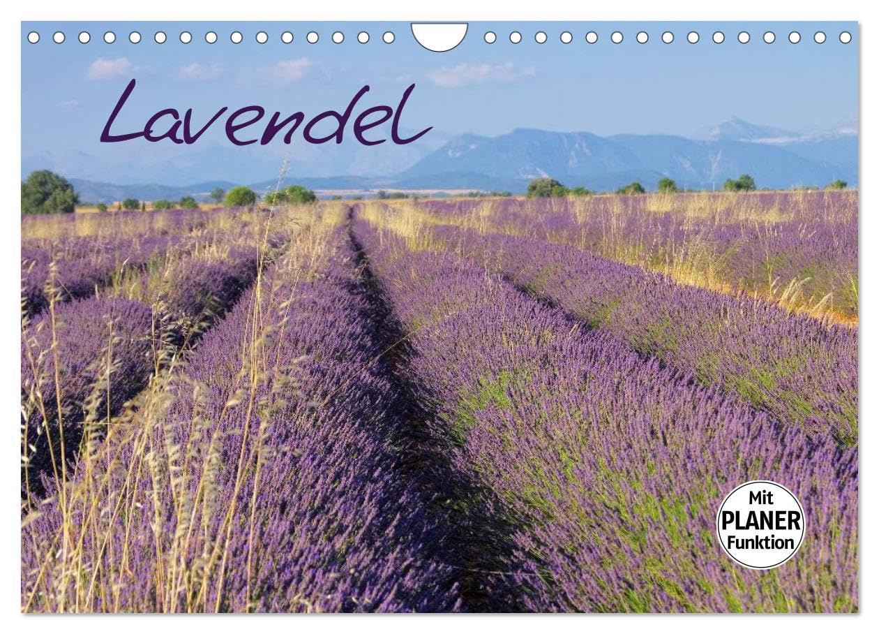 Lavendel (Wandkalender 2026 DIN A4 quer), CALVENDO Monatskalender: Lassen Sie sich mit diesen Bildern in den Süden Frankreichs entführen und genießen ... Landschaft ein ganzes Jahr. (CALVENDO Orte) Leisure, Home & Garden