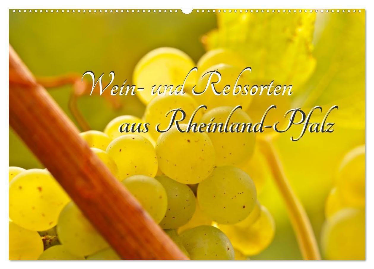 Wein- und Rebsorten aus Rheinland-Pfalz (Wandkalender 2026 DIN A2 quer), CALVENDO Monatskalender: Bilder und Eindrücke in das Weinanbaugebiet und Weinarten von Rheinland-Pfalz. (CALVENDO Lifestyle) Photography