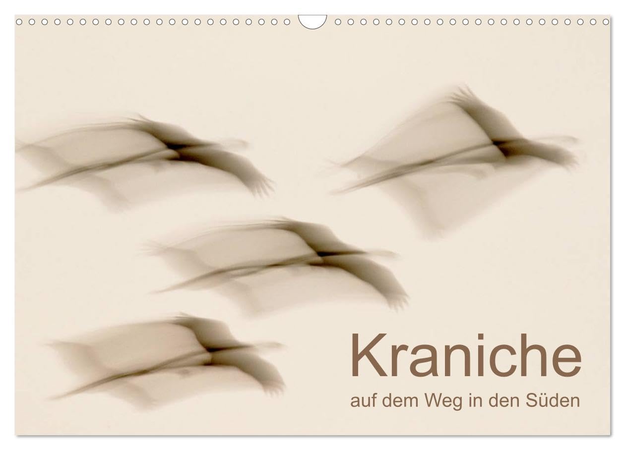 Kraniche auf dem Weg nach Süden (Wandkalender 2026 DIN A3 quer), CALVENDO Monatskalender: Fantastische Stimmungen im Reich der Kraniche (CALVENDO Tiere) Natural Sciences