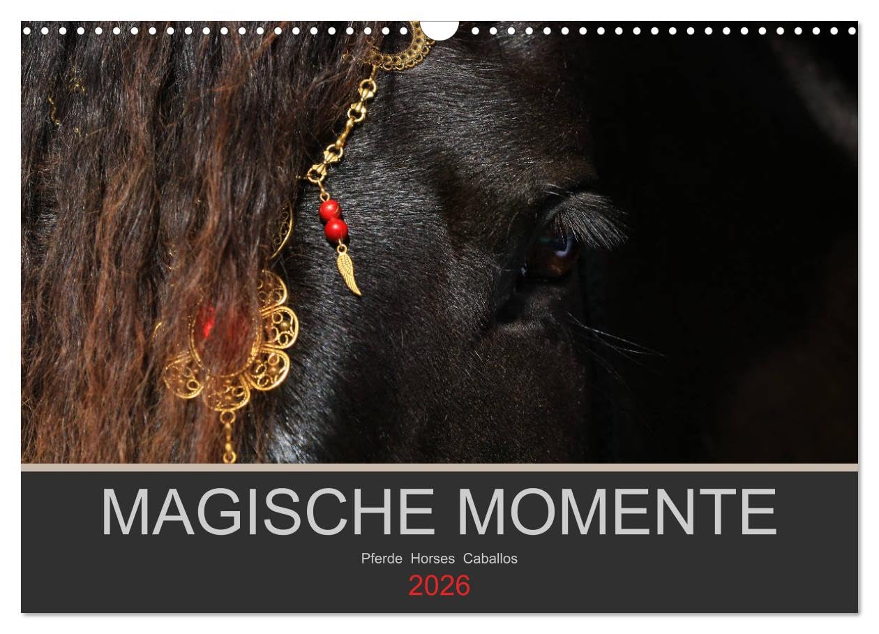 Magische Momente - Pferde Horses Caballos (Wandkalender 2026 DIN A3 quer), CALVENDO Monatskalender: Die Magie der Pferde. Fotografien vor schwarzem Hintergrund (CALVENDO Tiere) Living & Furnishing