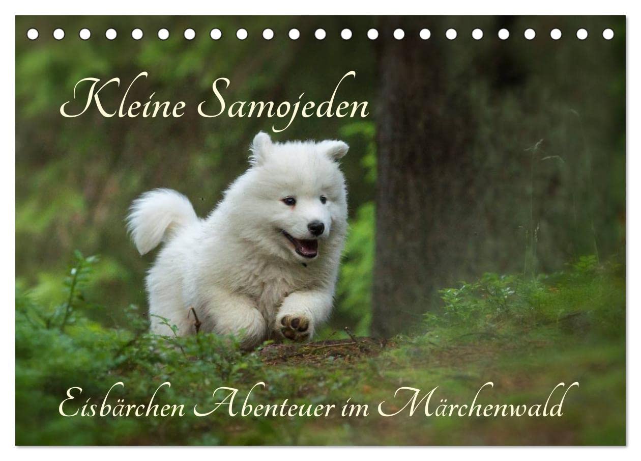 Kleine Samojeden - Eisbärchen Abenteuer im Märchenwald (Tischkalender 2026 DIN A5 quer), CALVENDO Monatskalender: Stimmungsvolle Aufnahmen niedlicher ... einem geheimnisvollen Wald (CALVENDO Tiere) Pets