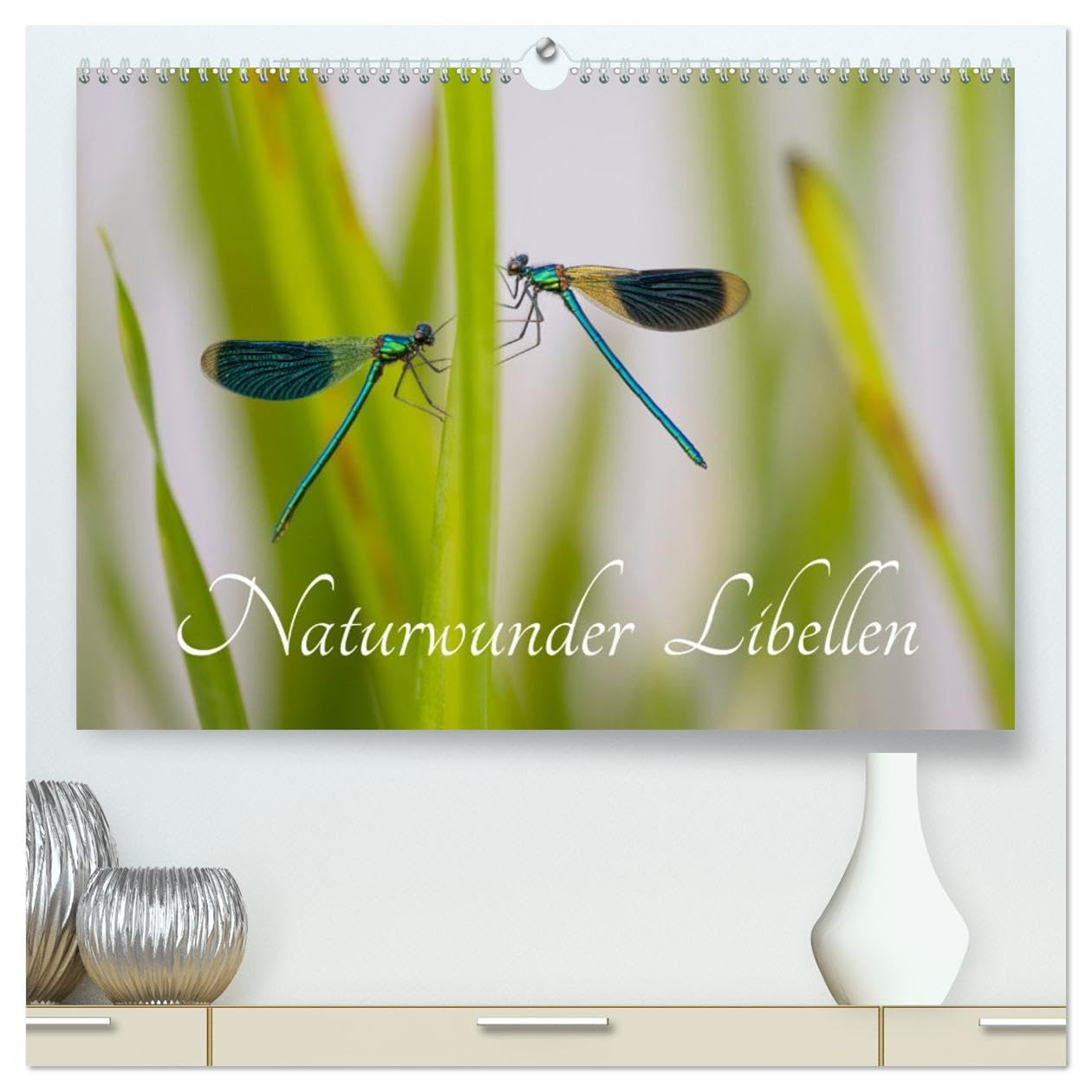 Naturwunder Libellen (hochwertiger Premium Wandkalender 2026 DIN A2 quer), Kunstdruck in Hochglanz Natural Sciences